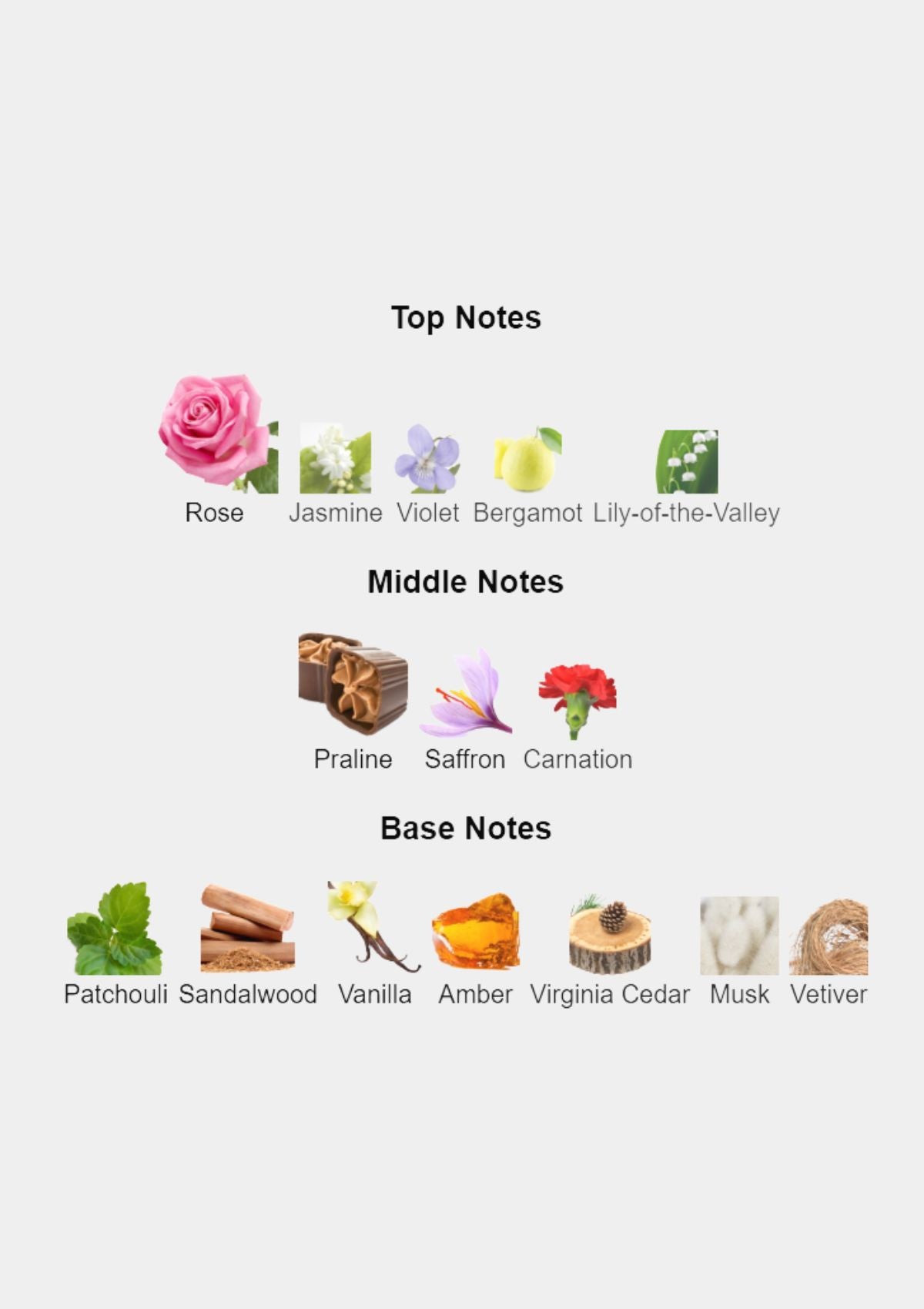 Angel Schlesser Oriental Edition II for Women EDT 100mL