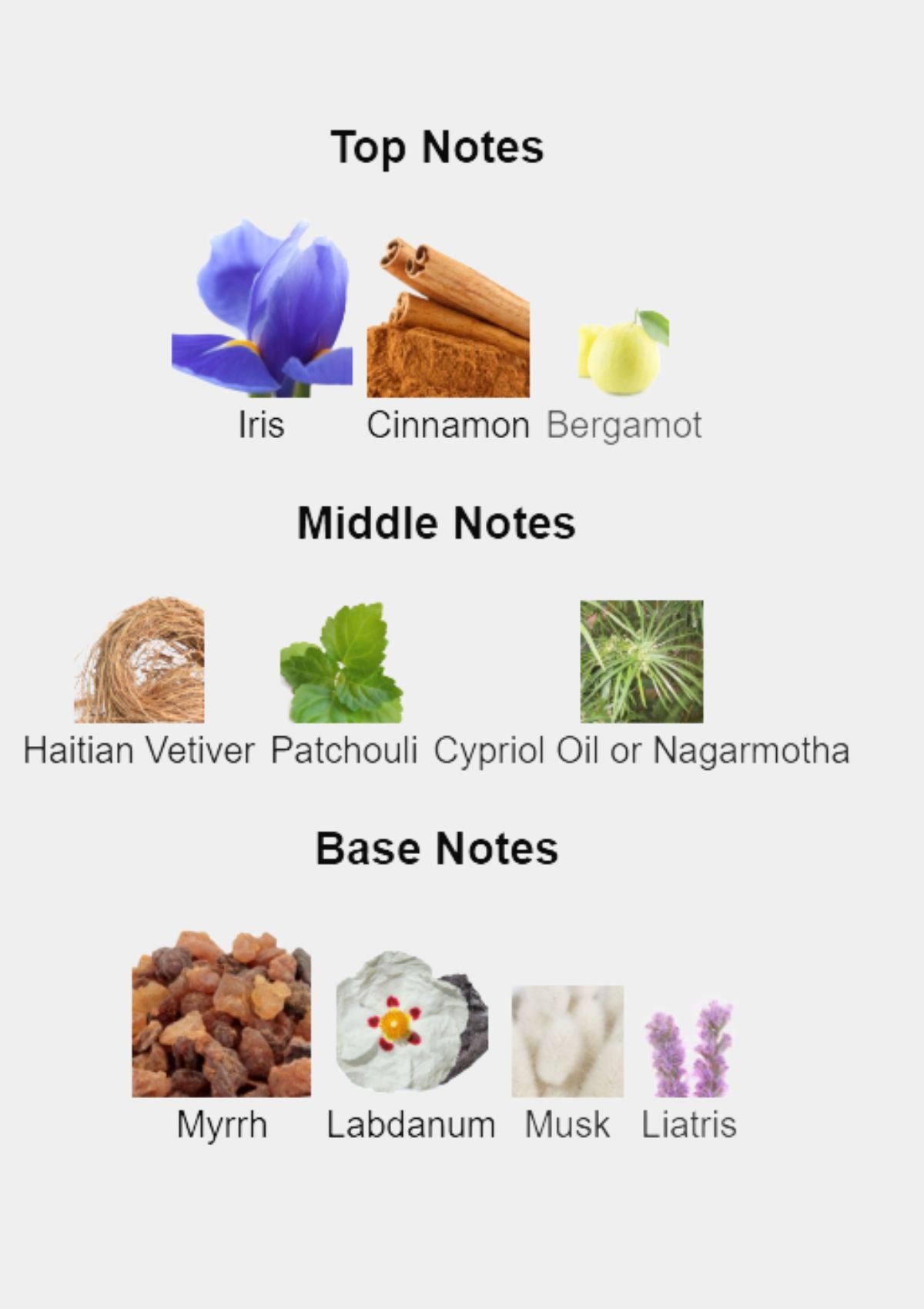 Atelier Des Ors Iris Fauve for Unisex EDP 100mL