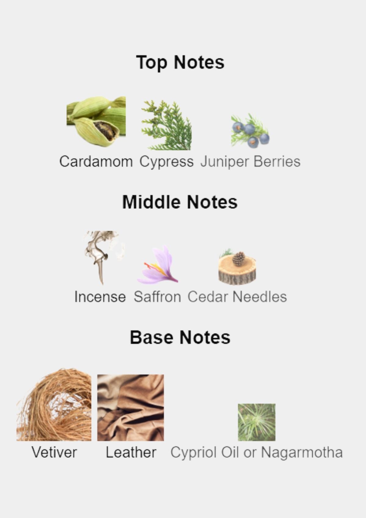 Atelier des Ors Cuir Sacre for Unisex EDP 100mL