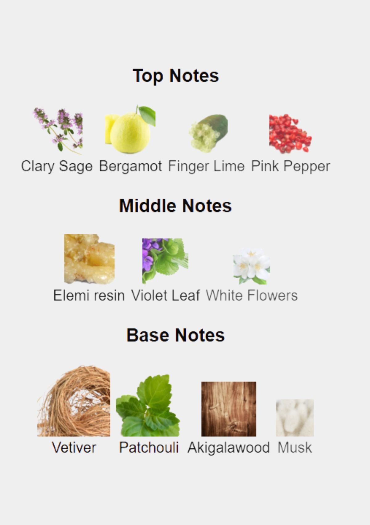 Atkinsons James for Men EDP 100mL