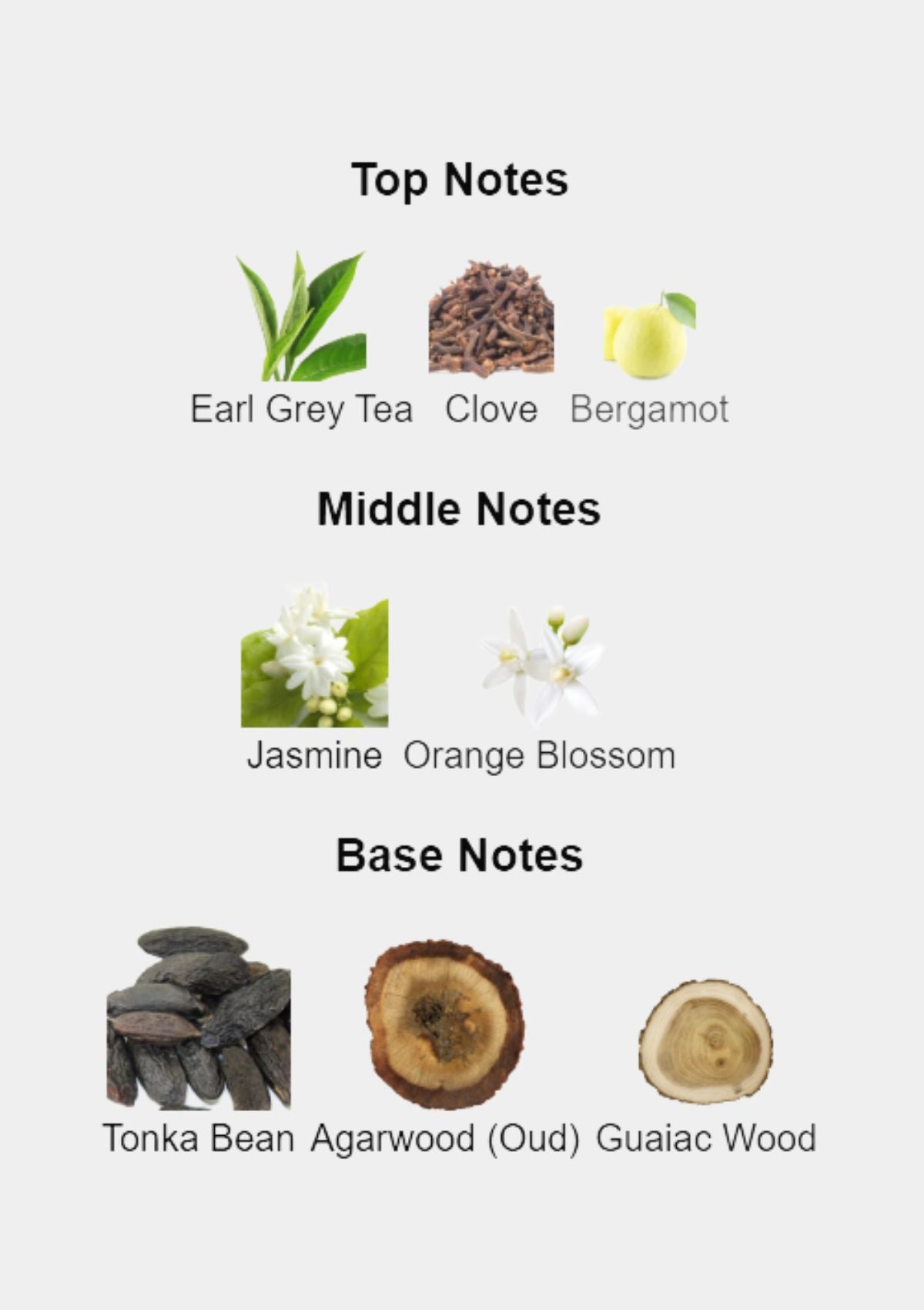 Atkinsons Oud Save the Queen for Women EDP 100mL