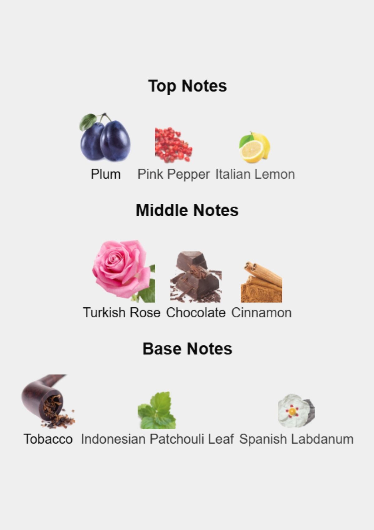 BDK Parfums Tabac Rose for Unisex EDP 100mL