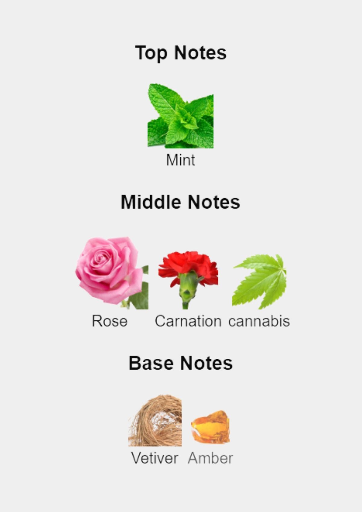 Balenciaga Florabotanica for Women EDP 100mL