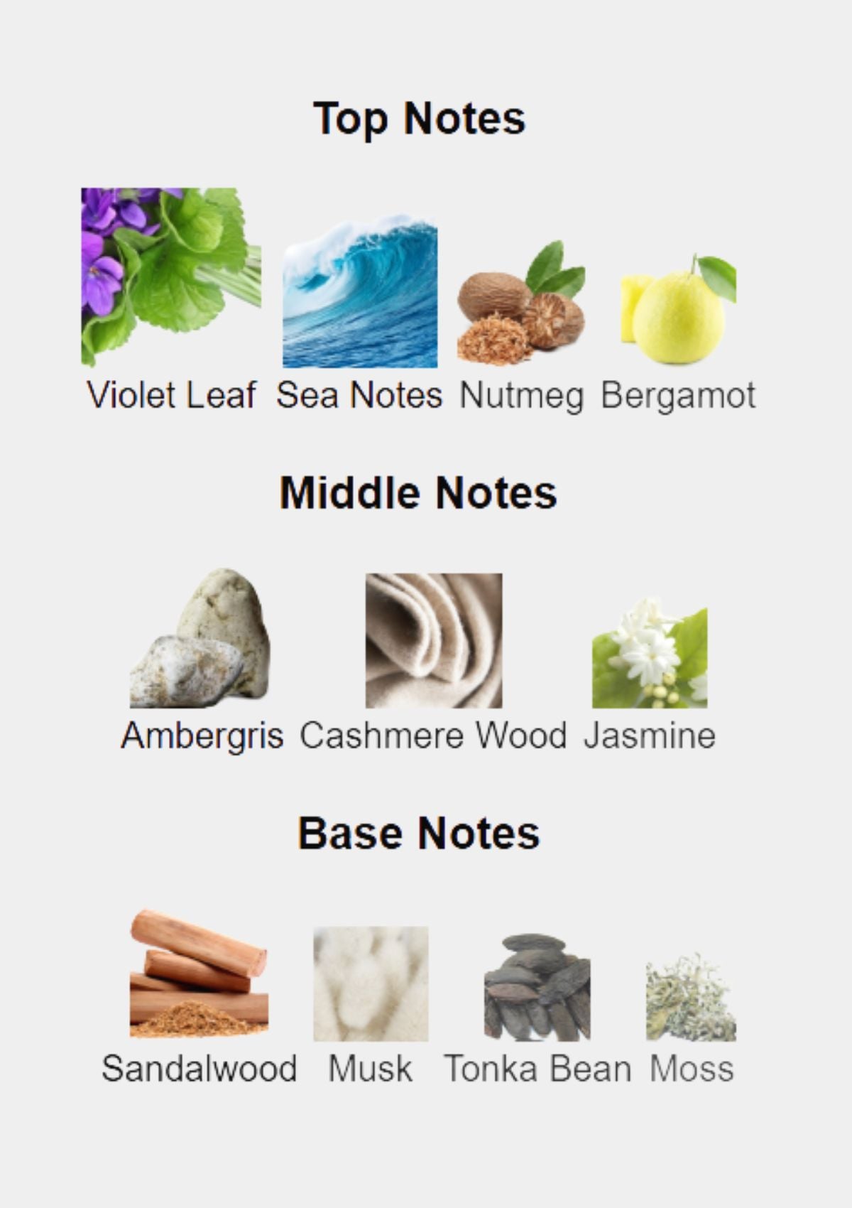 Bentley Momentum for Men EDT 100mL