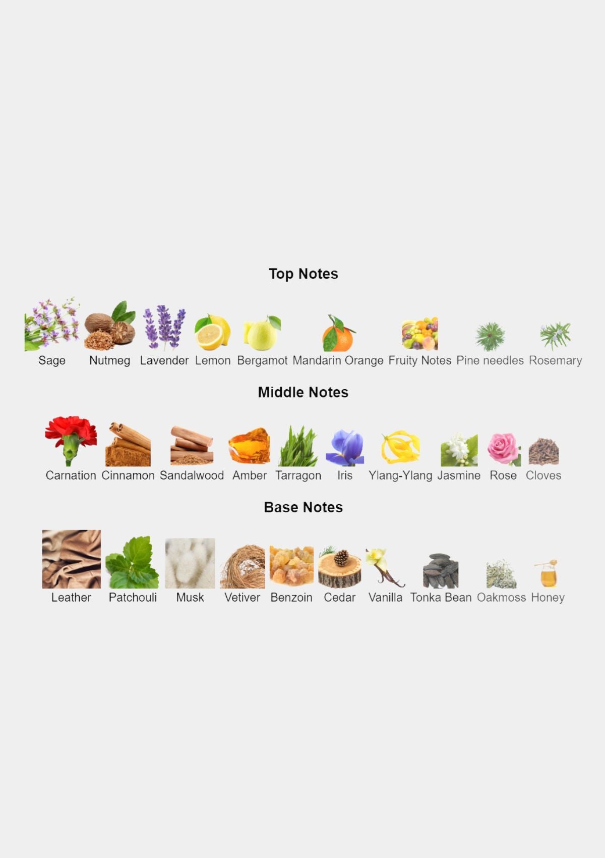 Bijian for Men EDT 75mL