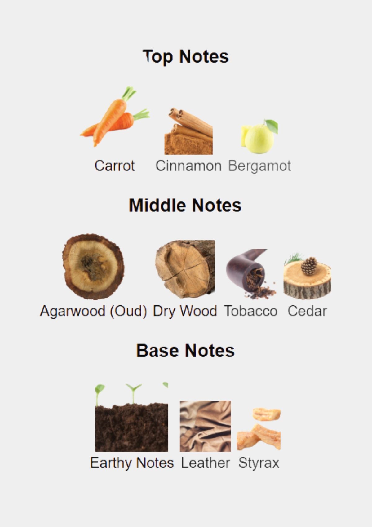 Bohoboco Wild Carrot Oud Parfum for Unisex 50mL