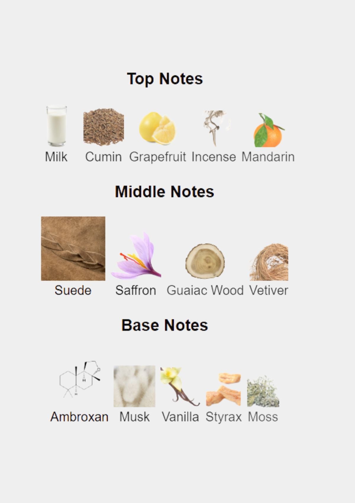 Borntostandout Fugazzi for Unisex EDP 50mL