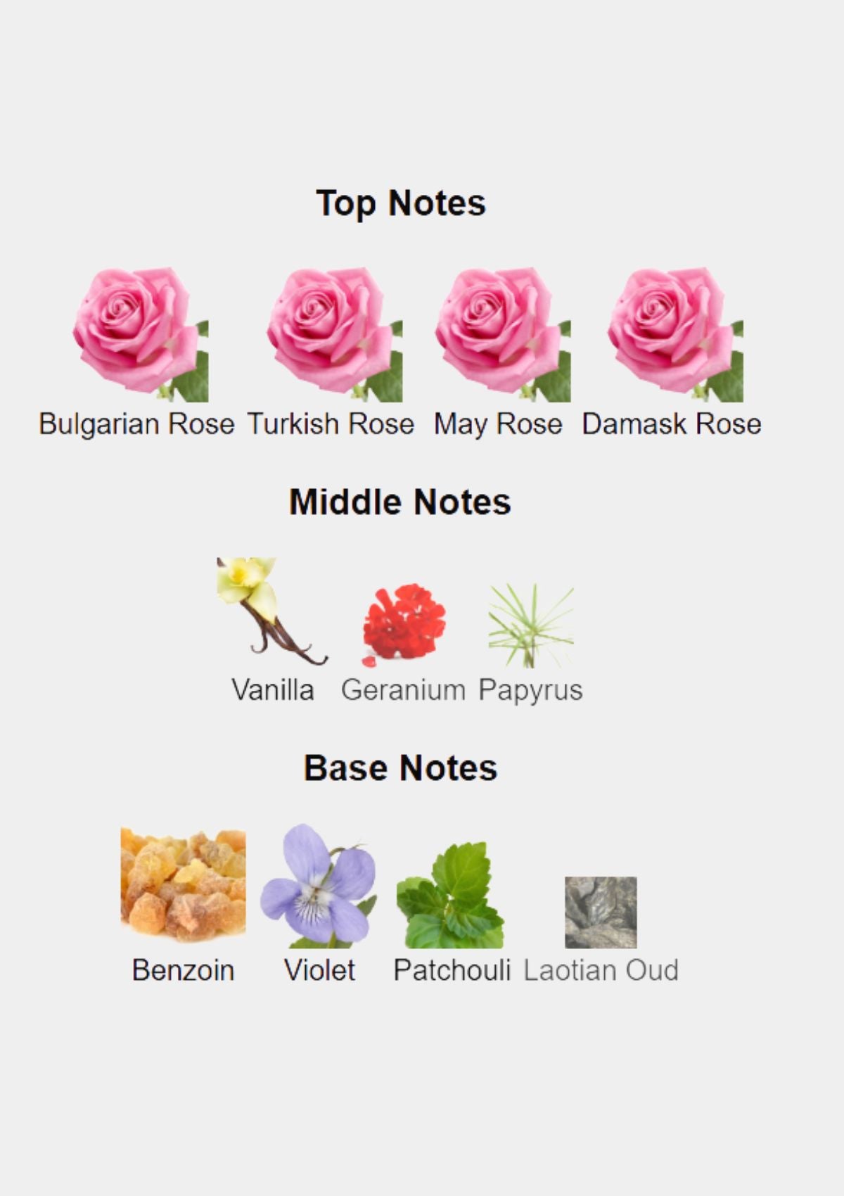 Borntostandout NSFW for Unisex EDP 50mL