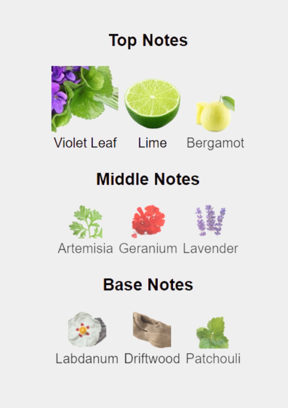 Boucheron Quatre Pour Homme for Men EDT 100mL