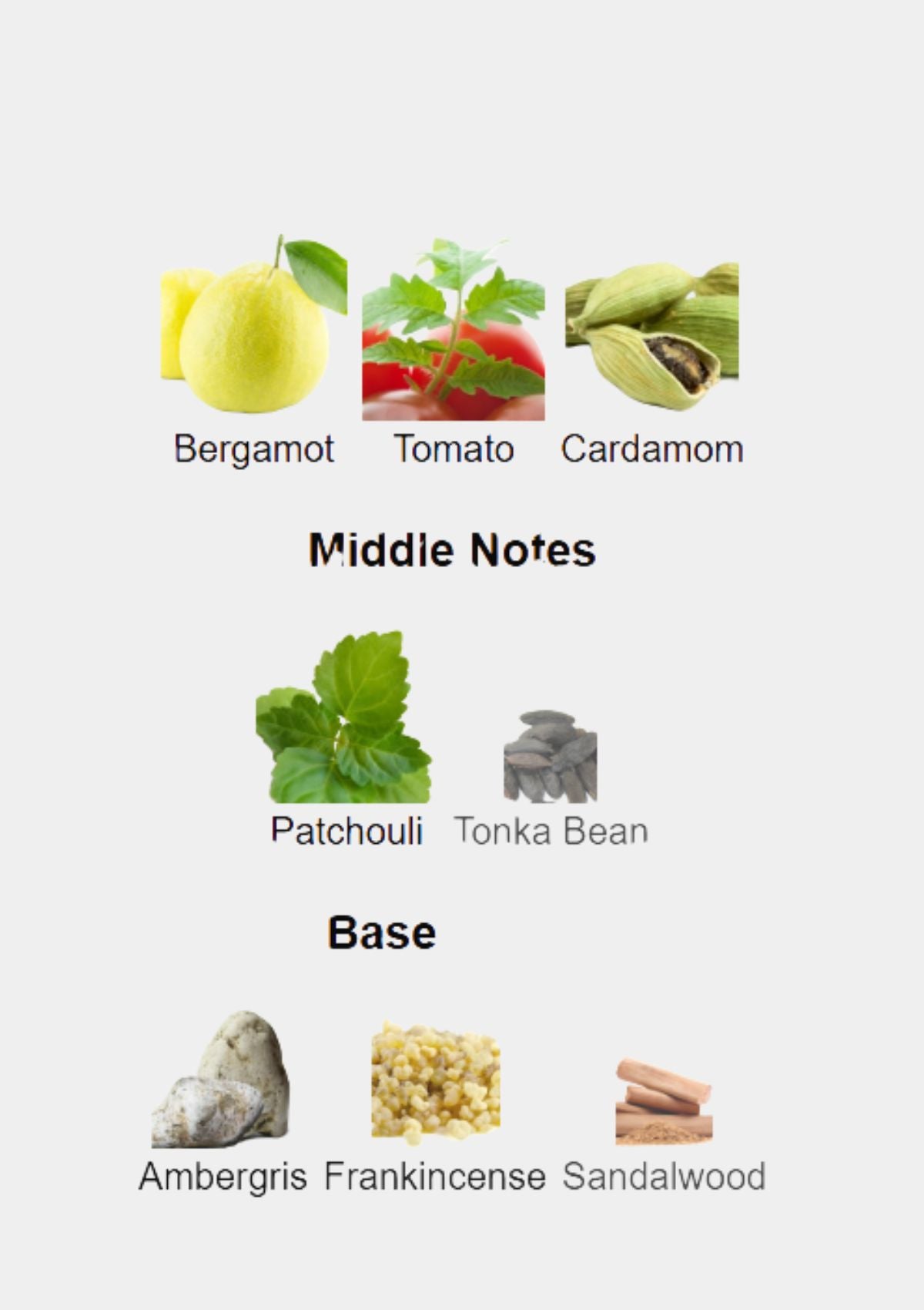 Brioni Essentiel for Men EDP 100mL