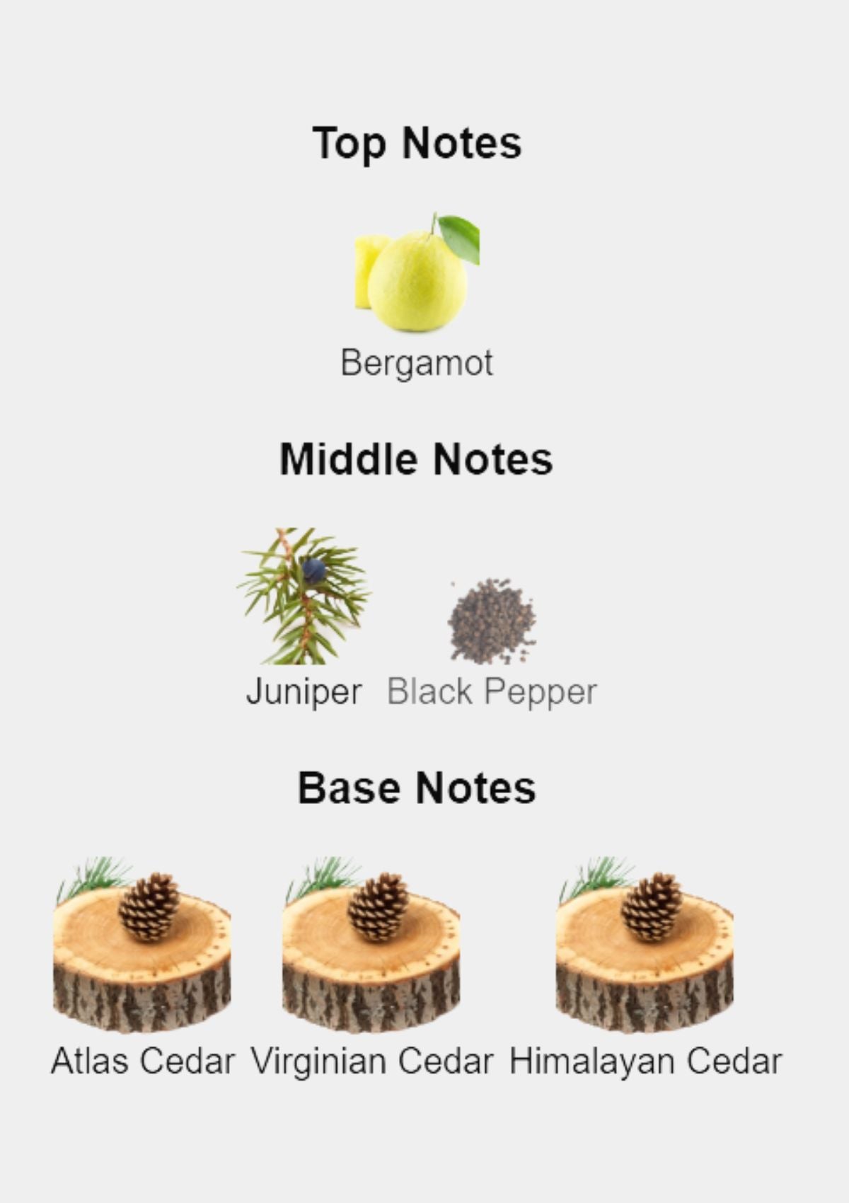 Burberry Hero for Men EDT 100mL