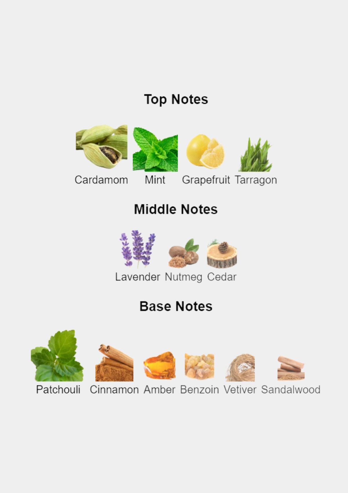 Burberry Mr. Burberry for Men EDP 100mL