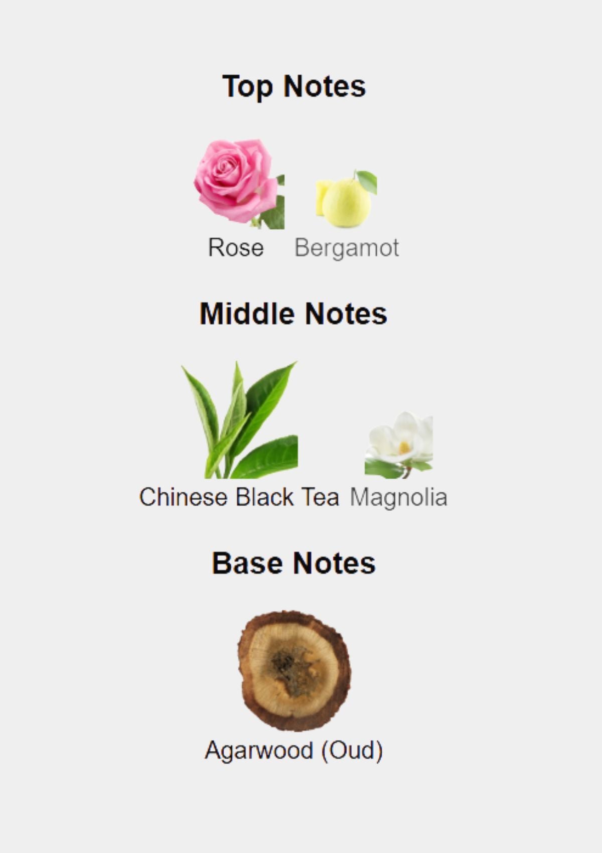 بولغاري أو بارفومي أو ذا نوير إنتنس للجنسين EDC 75 مل