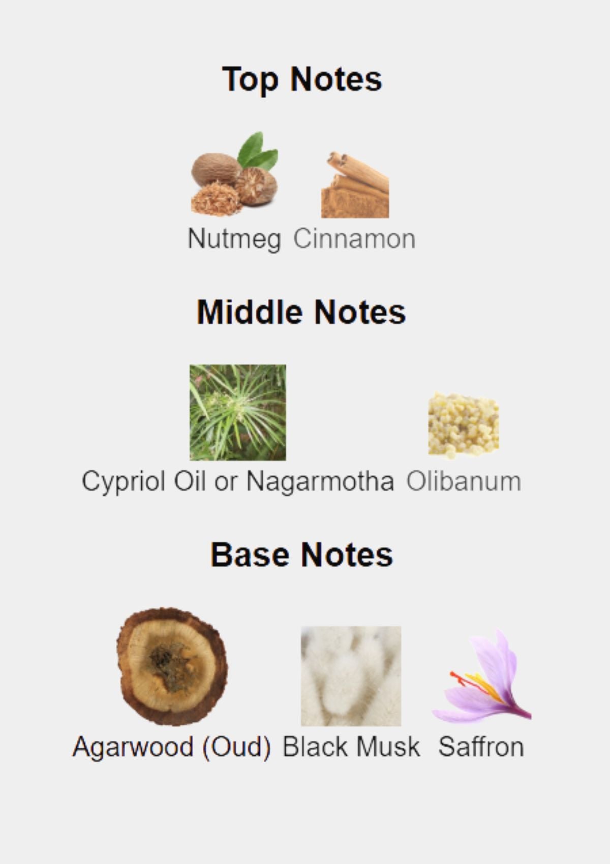 بولغاري لو جيمي فالكار للرجال أو دو بارفان 100 مل