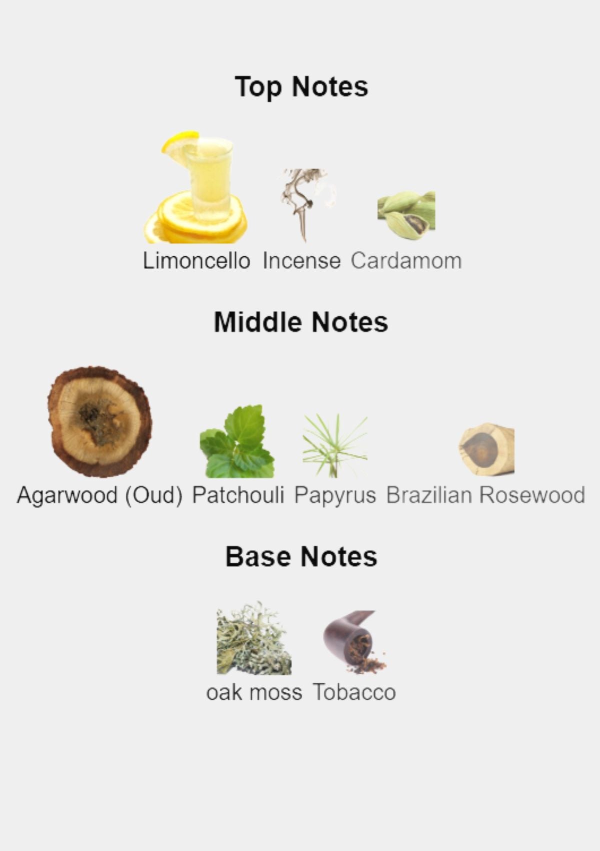 Byredo Oud Immortel for Unisex EDP 100mL