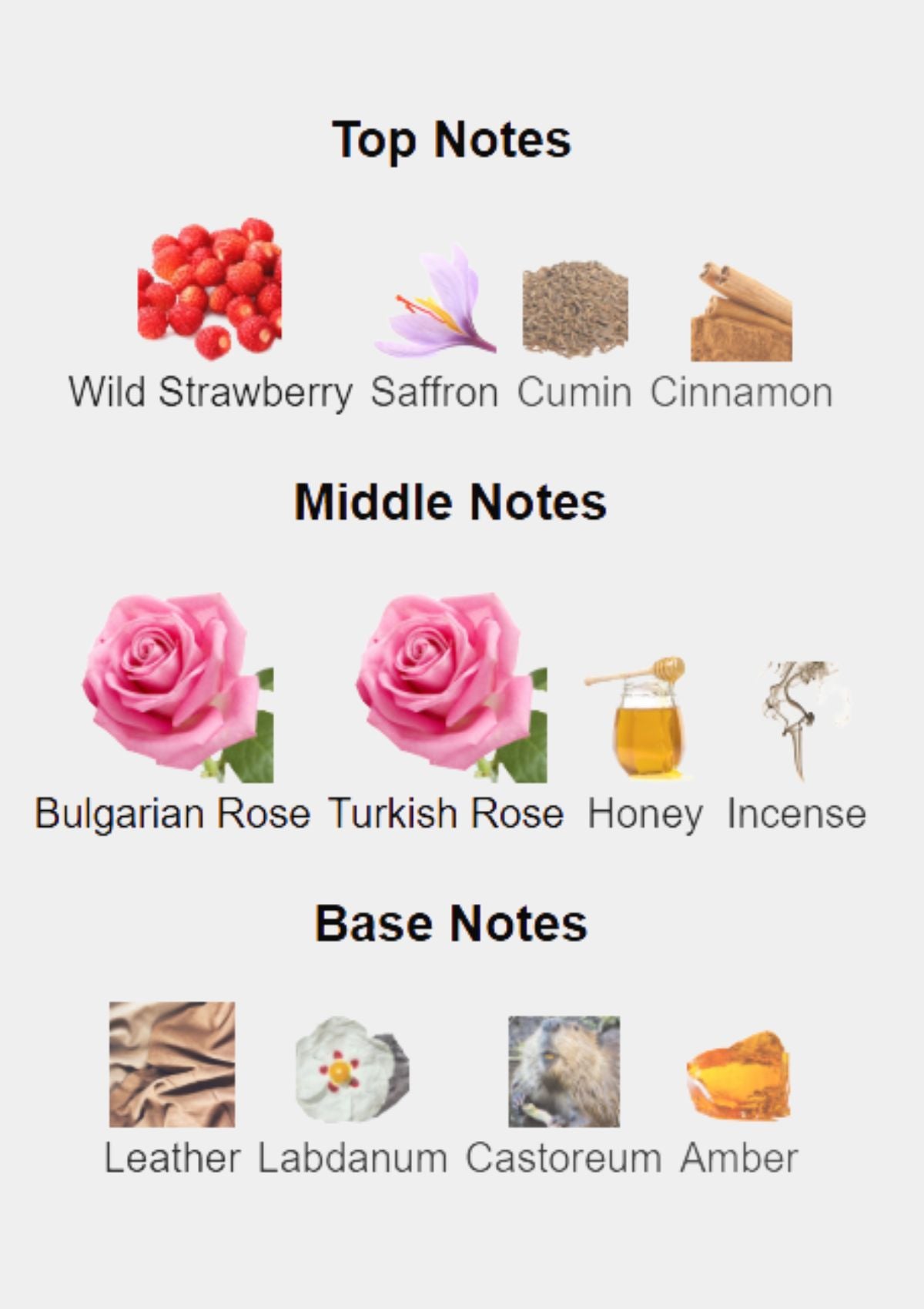 Carner Barcelona Rose & Dragon for Unisex EDP 50mL