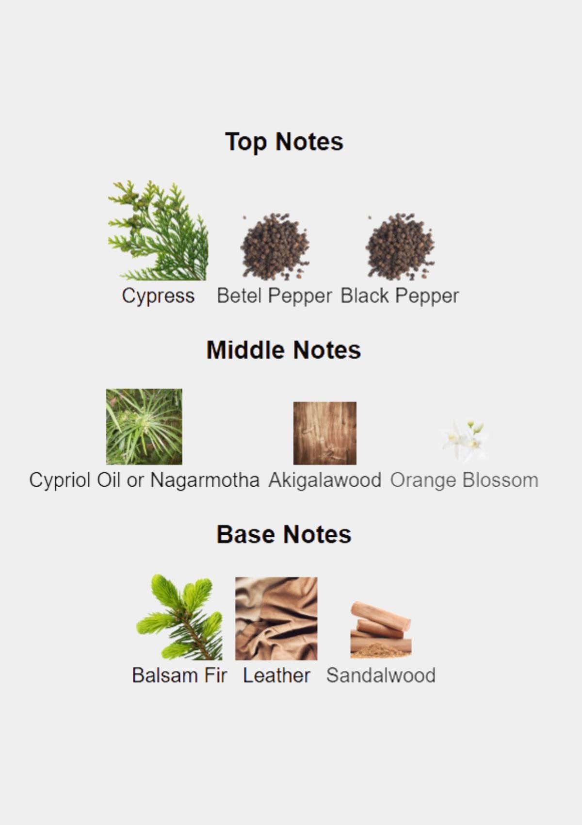 Carner Drakon Extrait de Parfum for Unisex 50mL