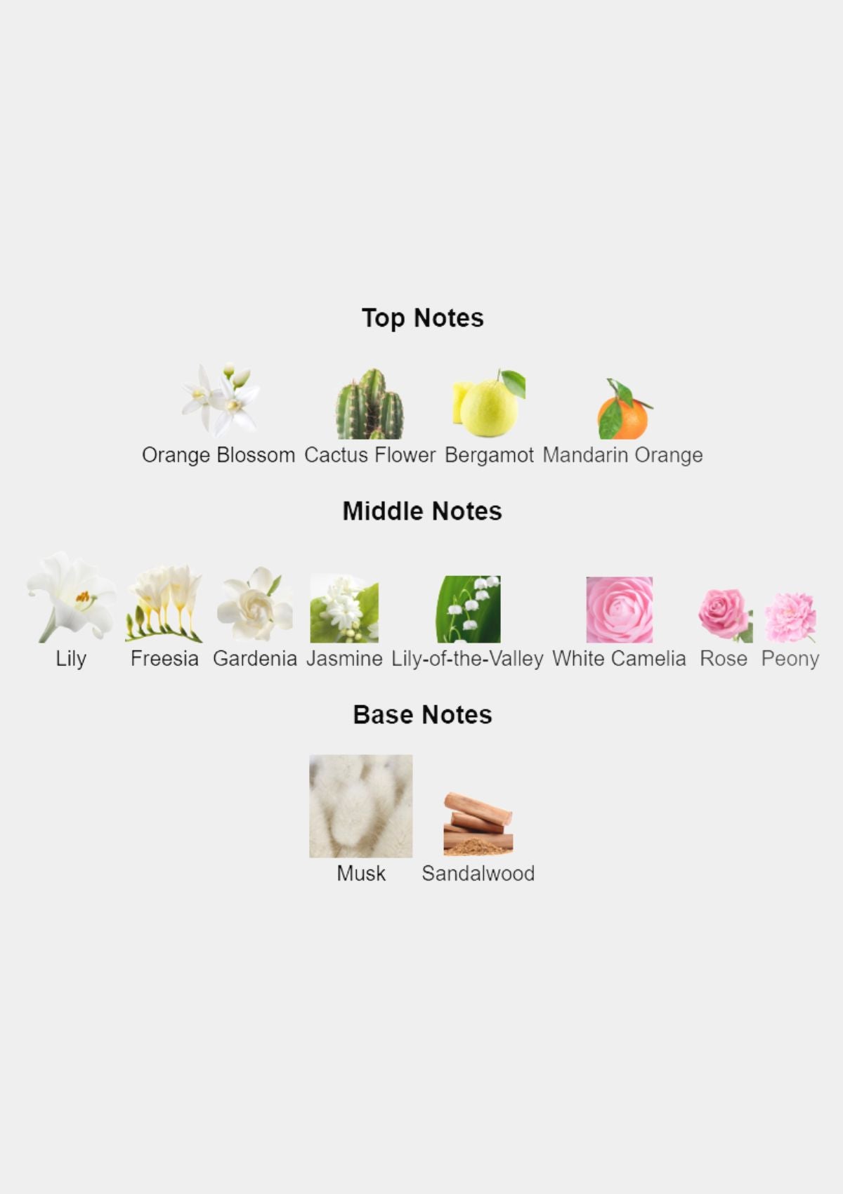 Carolina Herrera 212 NYC for Women EDT 100mL