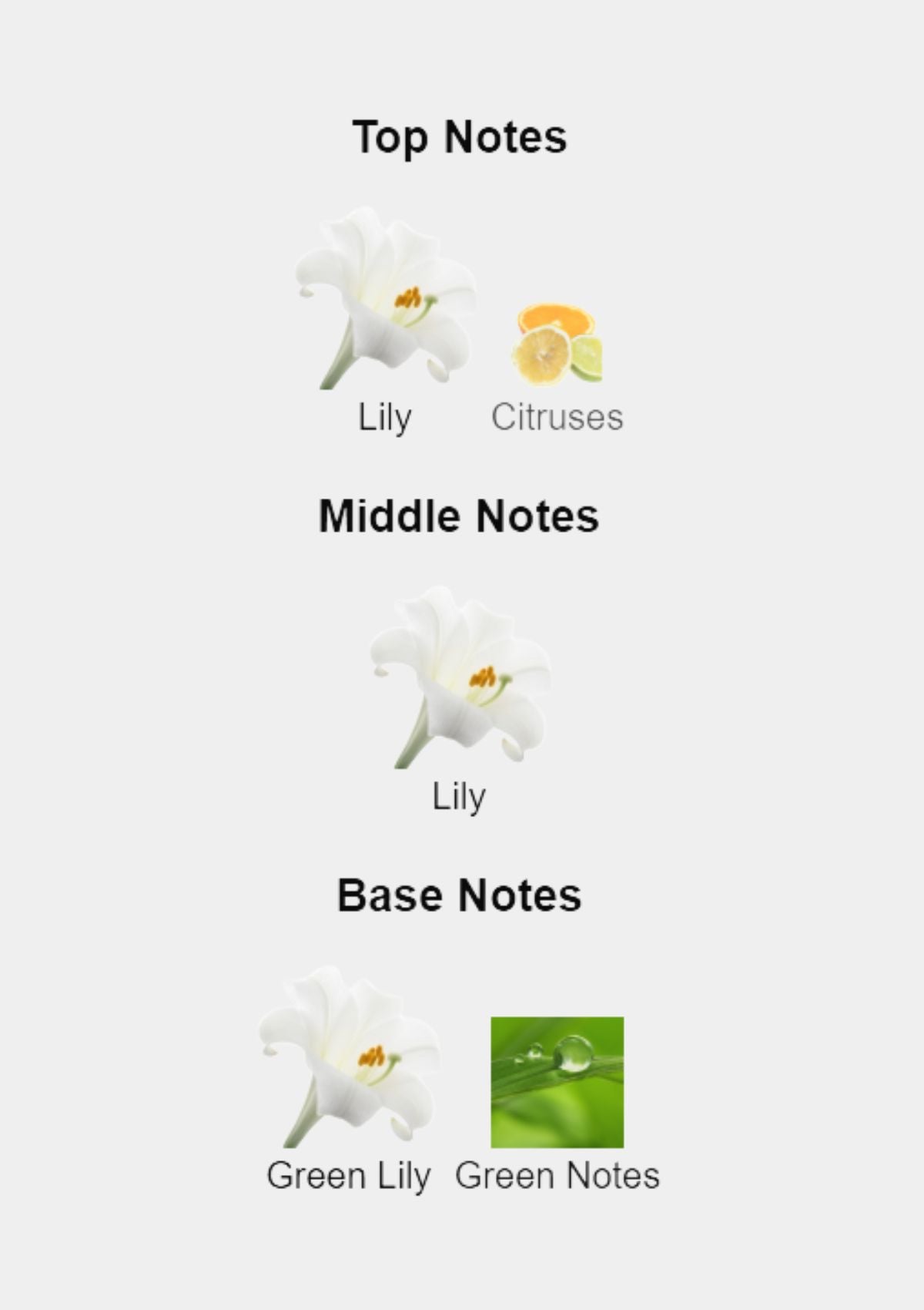 Cartier Baiser Vole for Women EDP 100mL