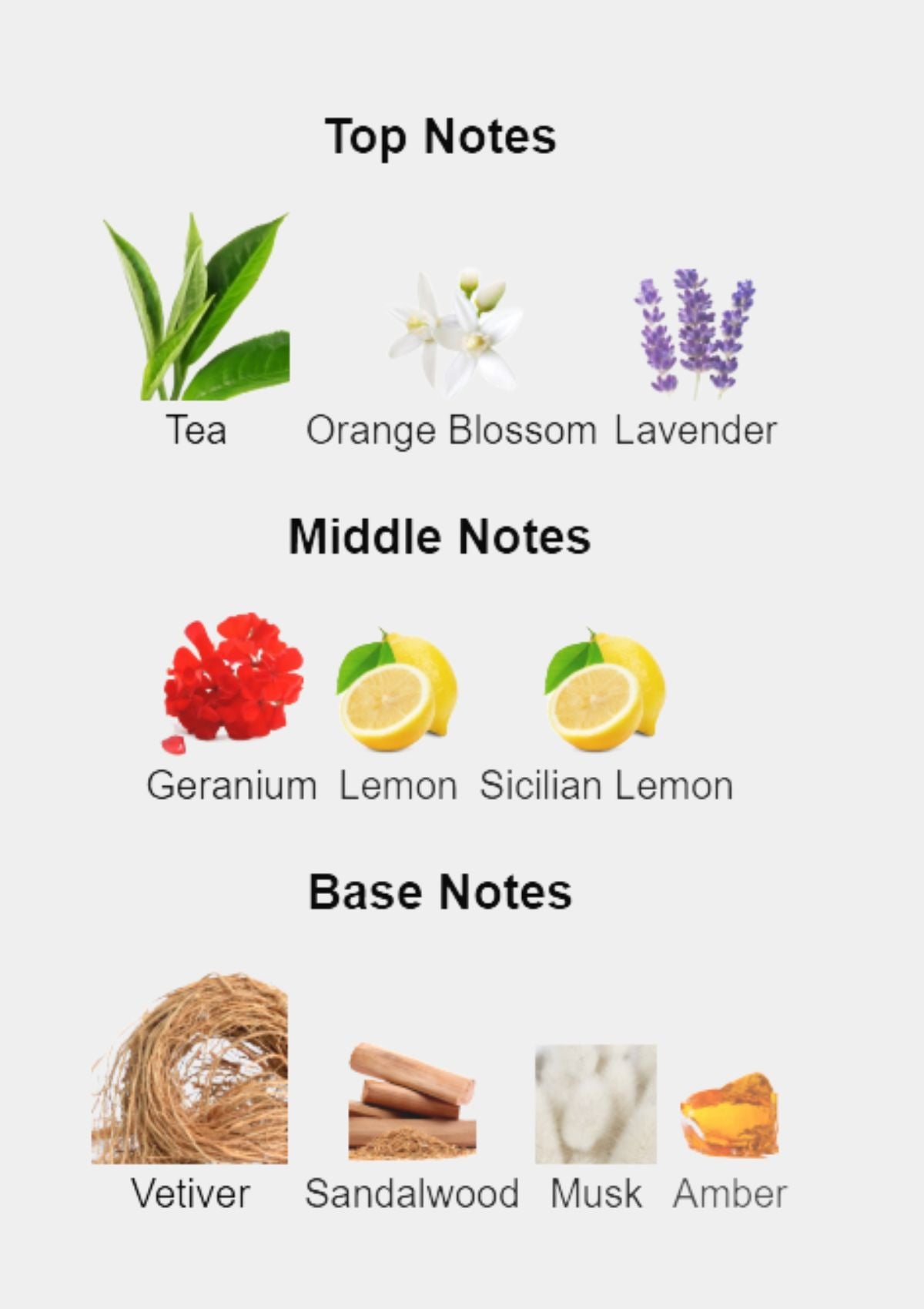 Cartier Declaration Essence for Men EDT 100mL