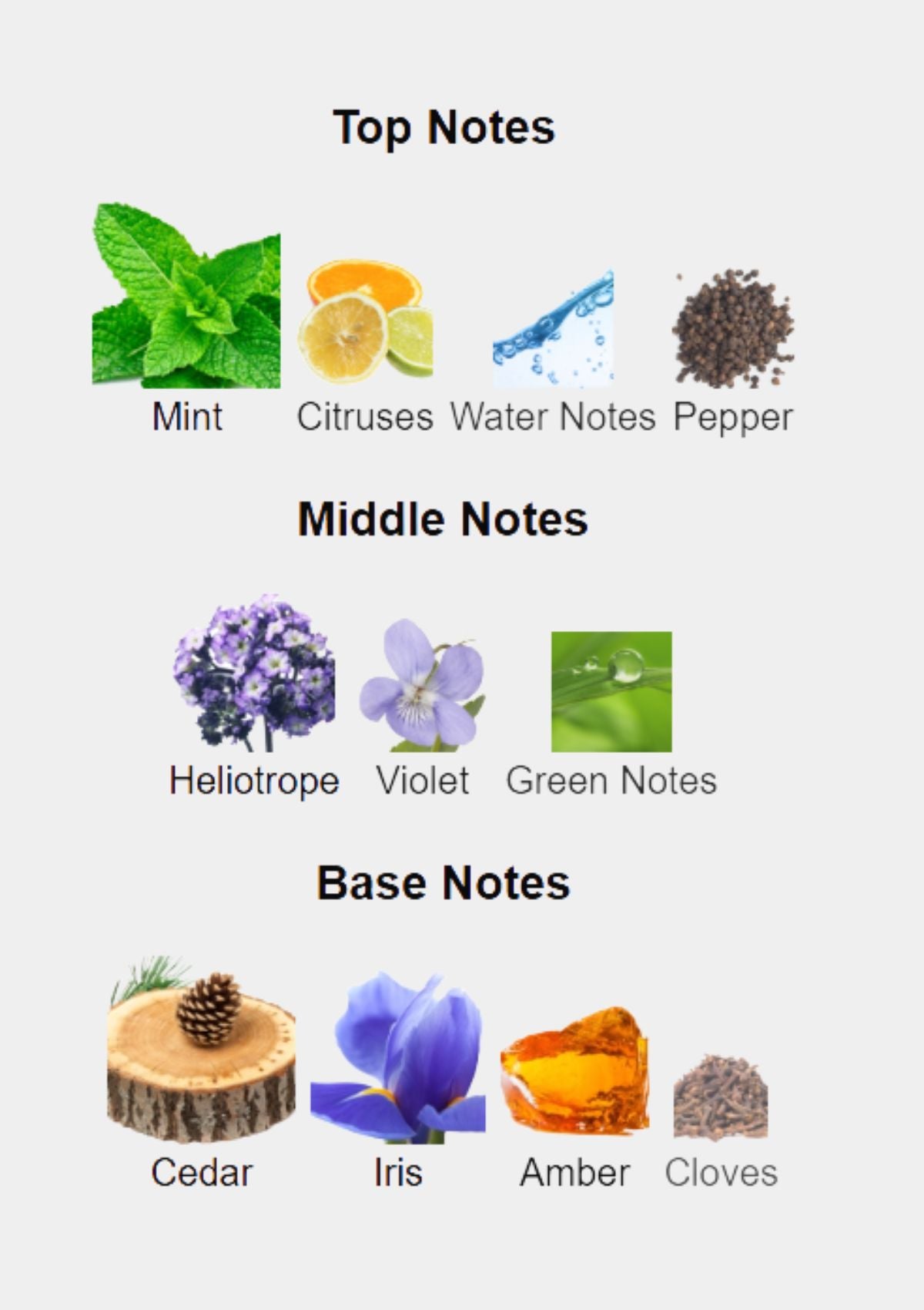 Cartier Pasha De Cartier Edition Noire Gold for Men EDT 100mL