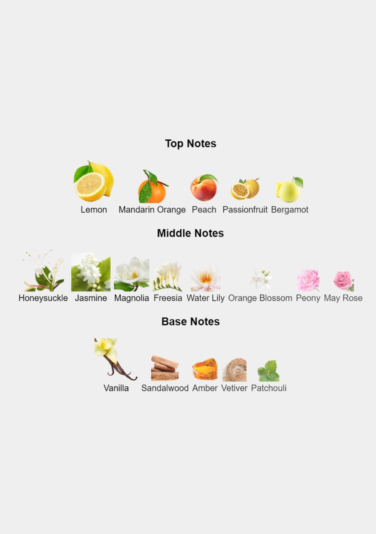 Chanel Allure for Women EDP 100mL