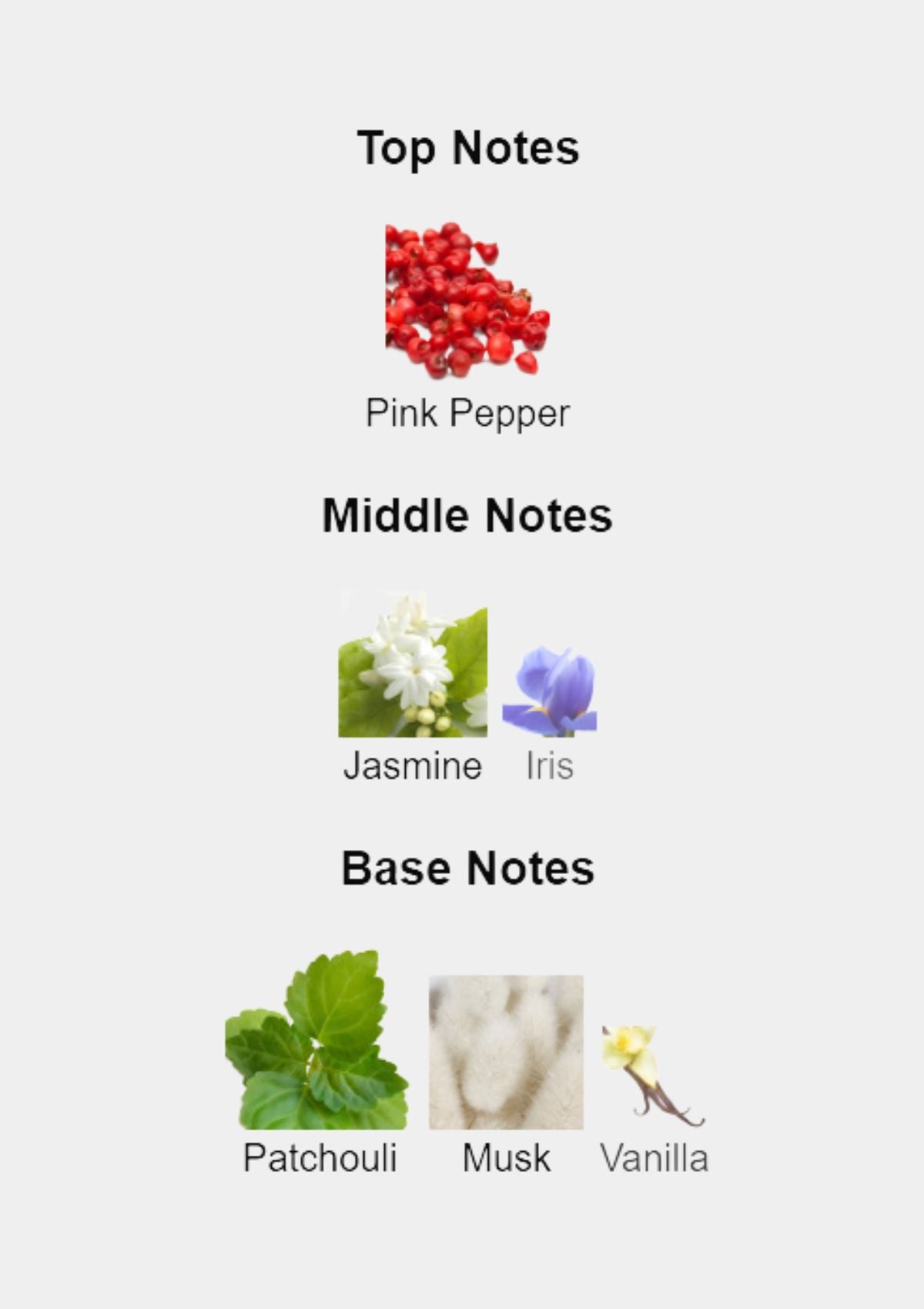 Chanel Chance for Women EDP 100mL