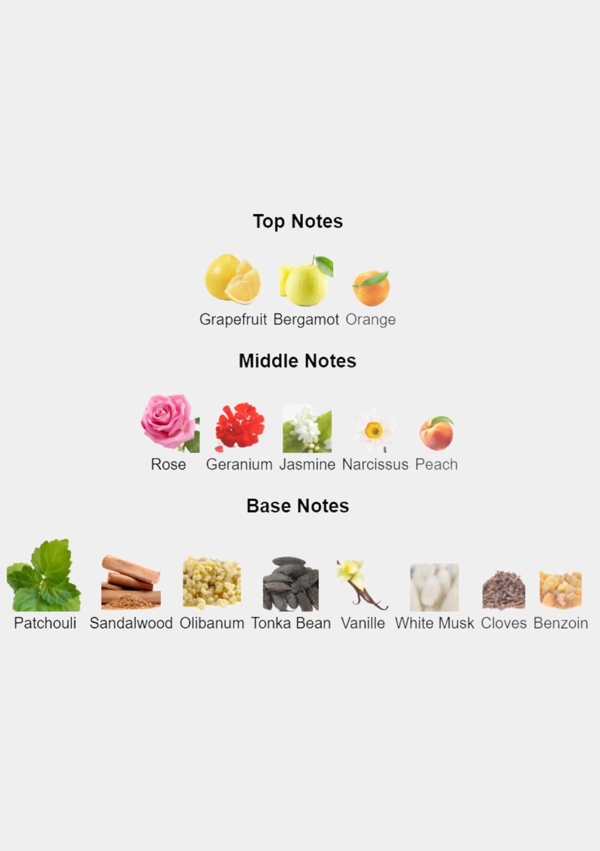 Chanel Coco Noir for Women EDP 100mL