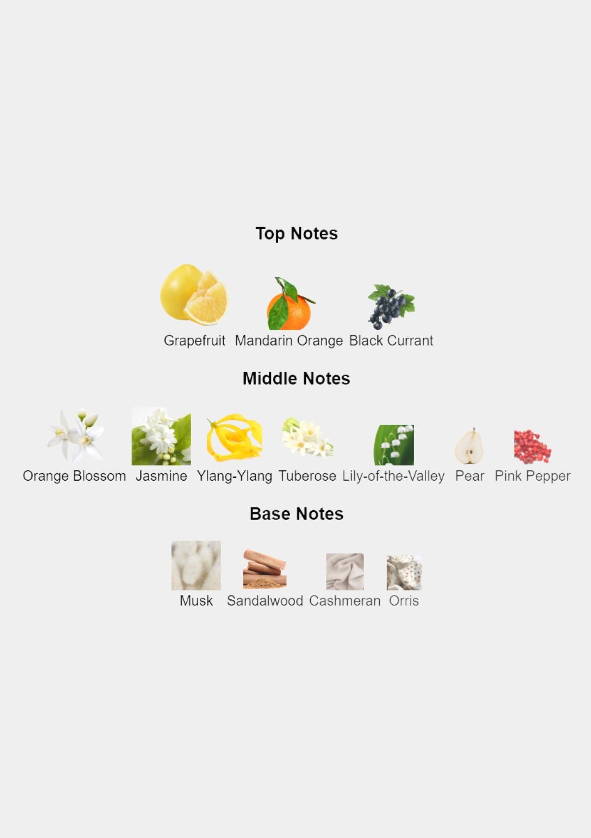 Chanel Gabrielle for Women EDP 100mL