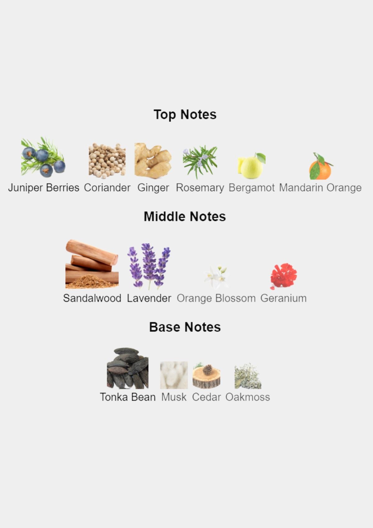 Creed Original Santal for Unisex EDP 100mL