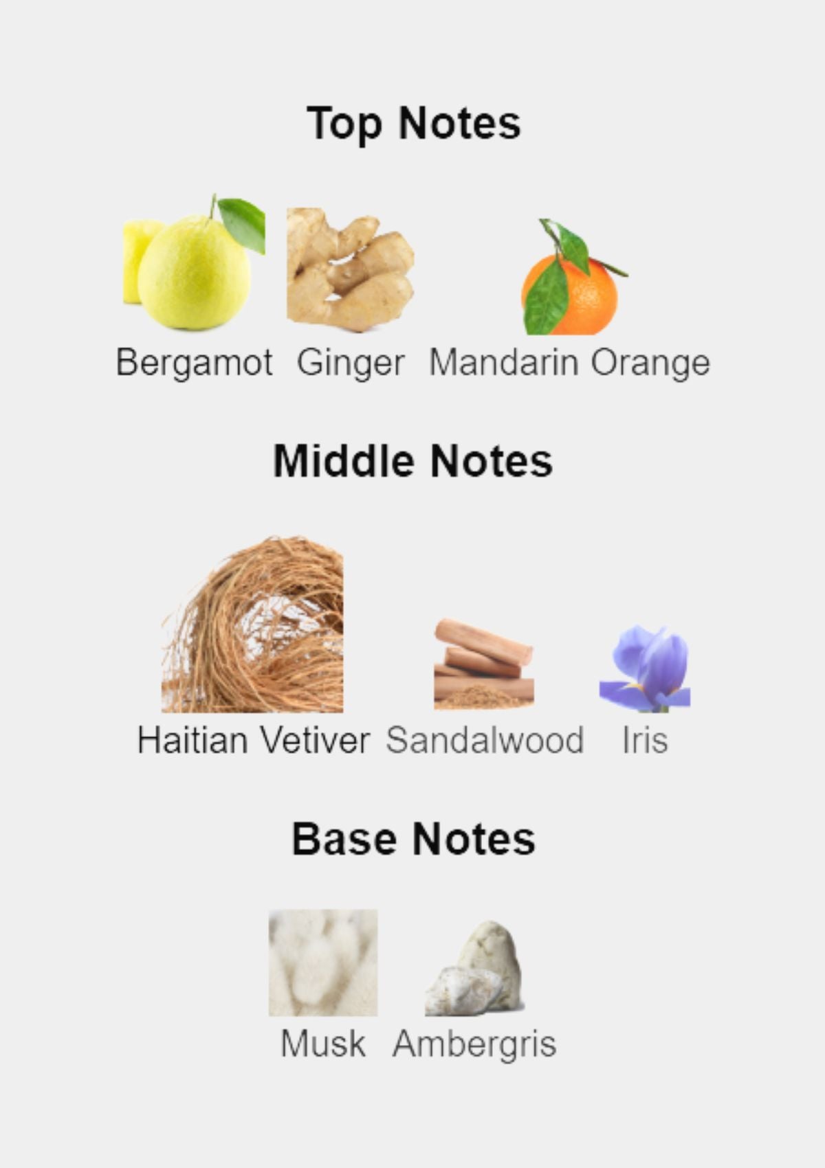 Creed Original Vetiver for Unisex EDP 100mL