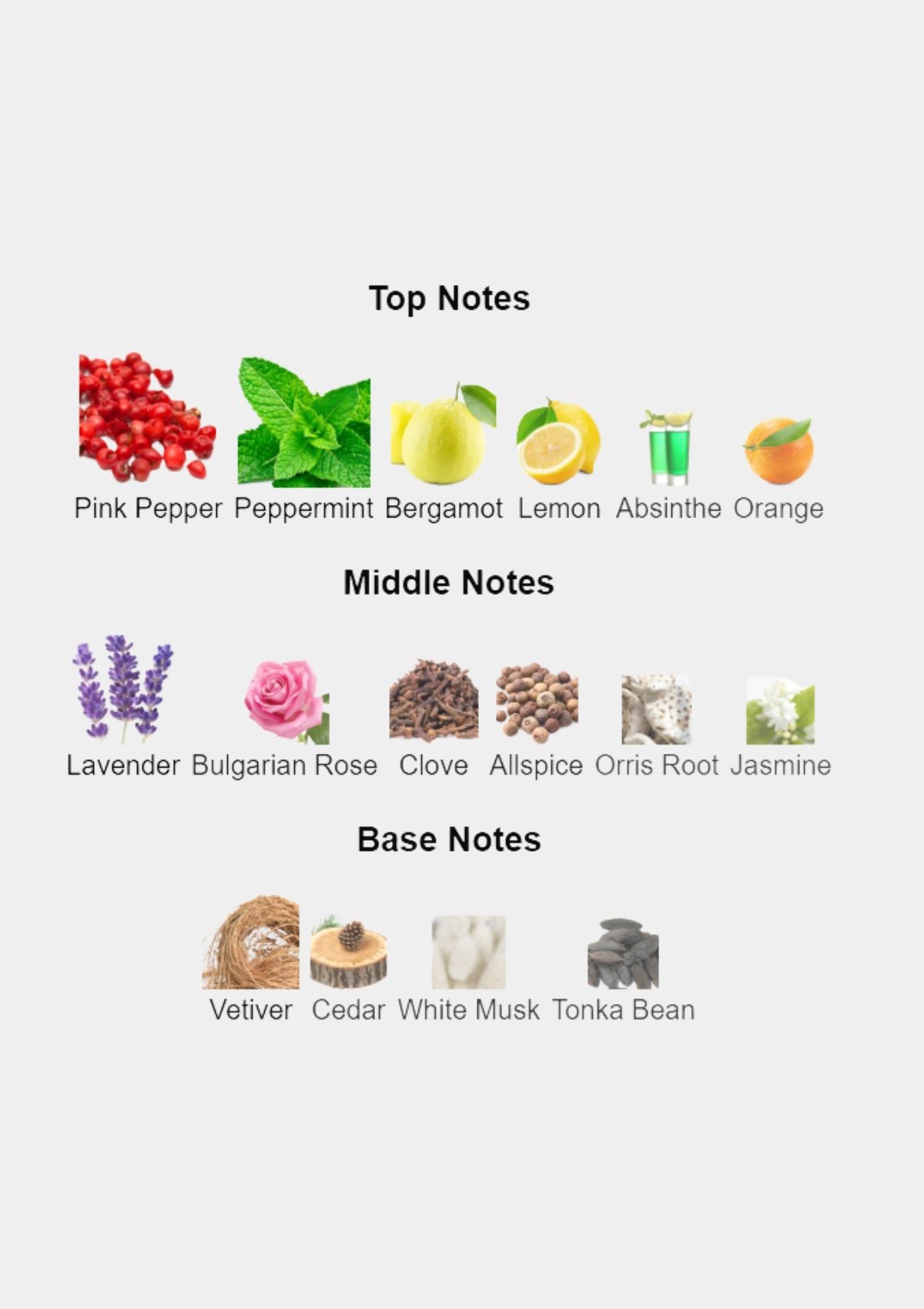 Creed Viking for Men EDP 100mL