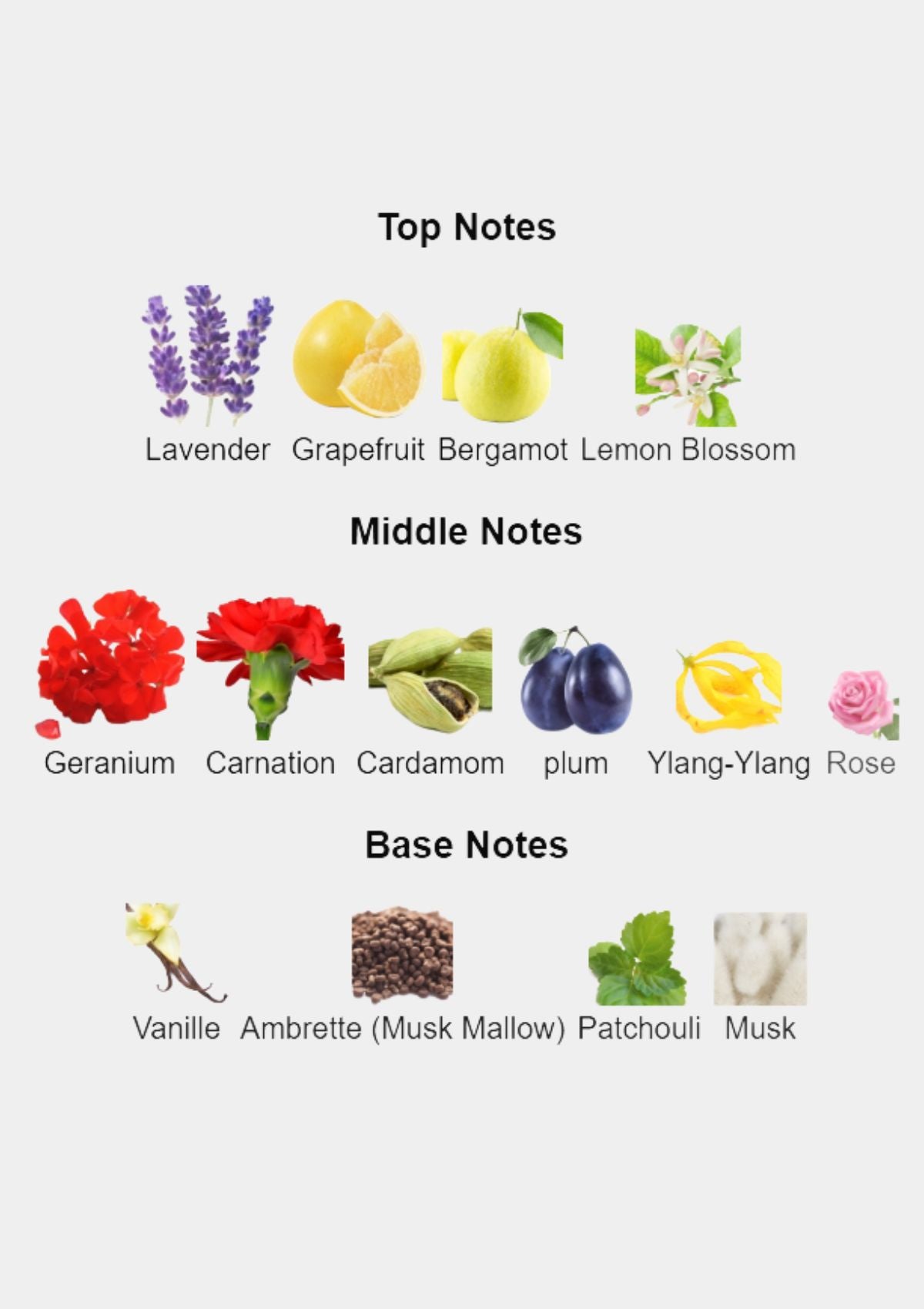 Xerjoff Casamorati Regio for Unisex EDP 100mL