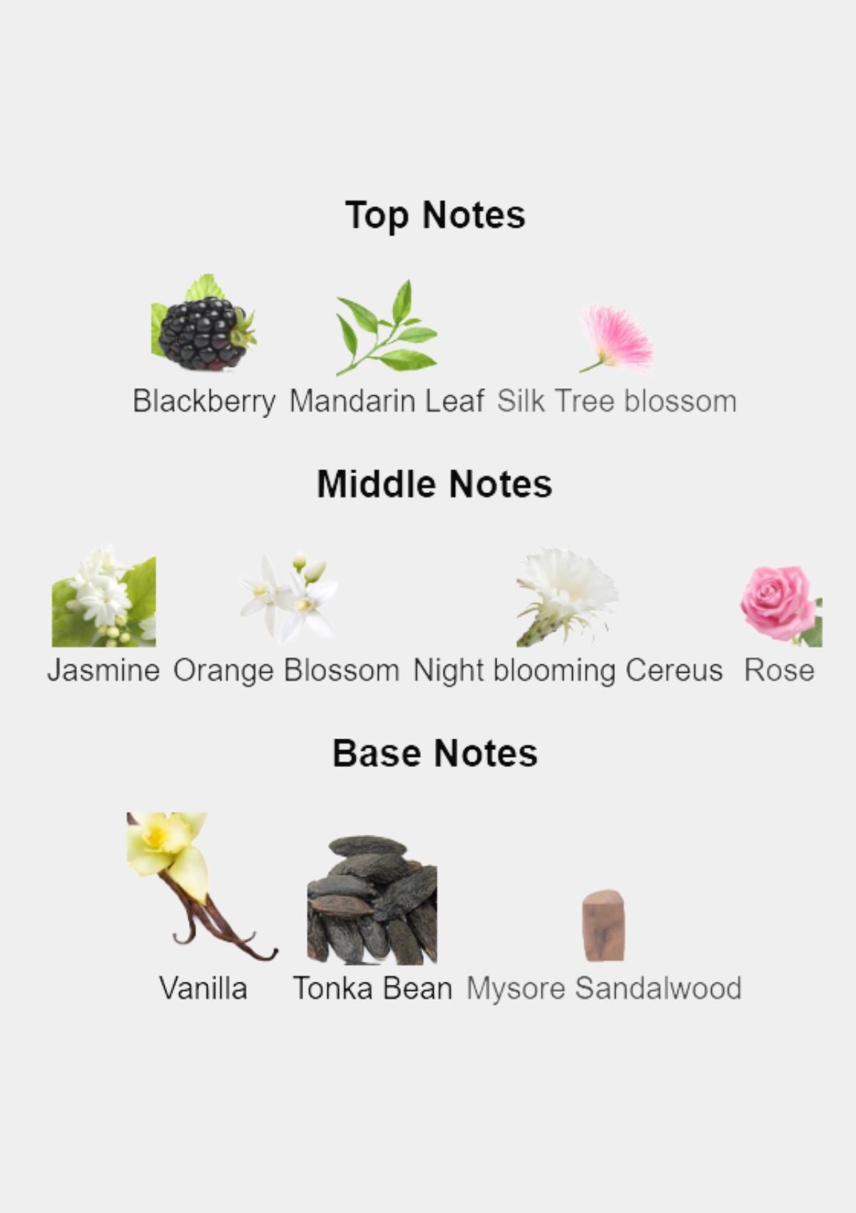 Dior Addict for Women EDP 100mL