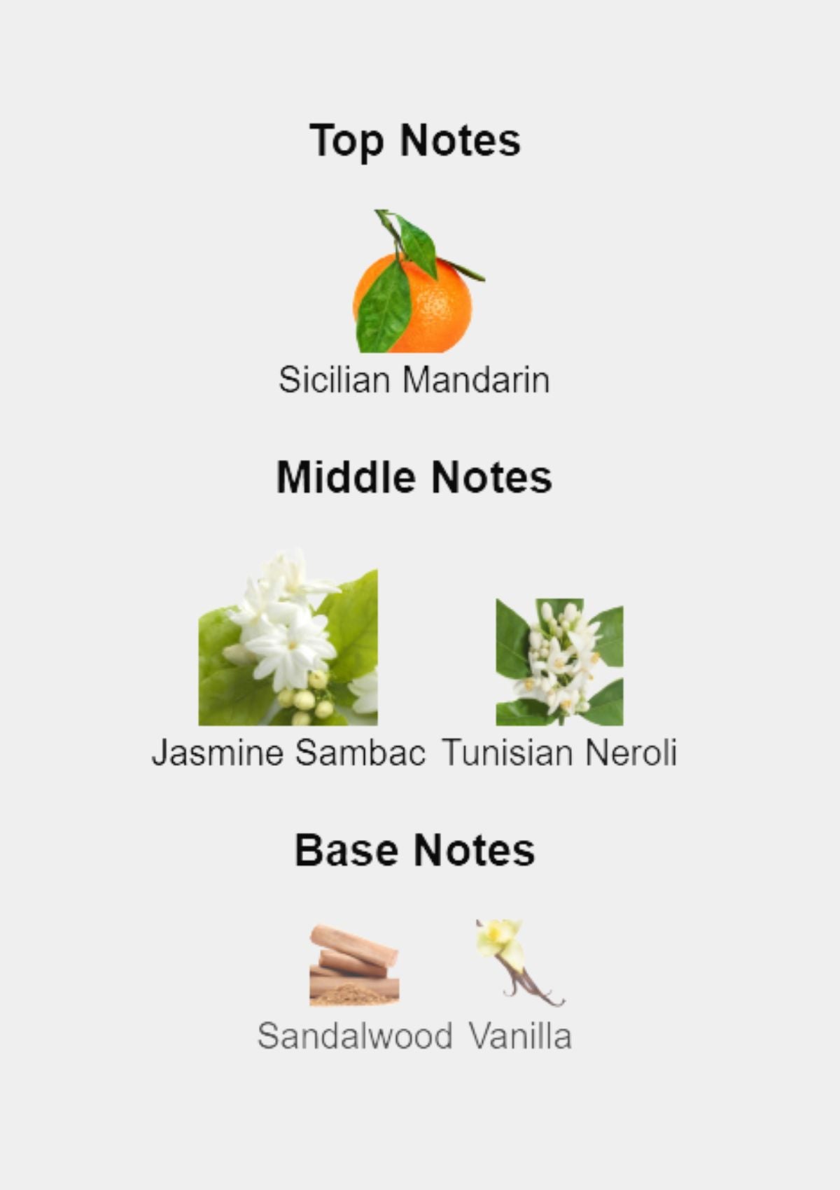 Dior Addict for Women EDT 100mL