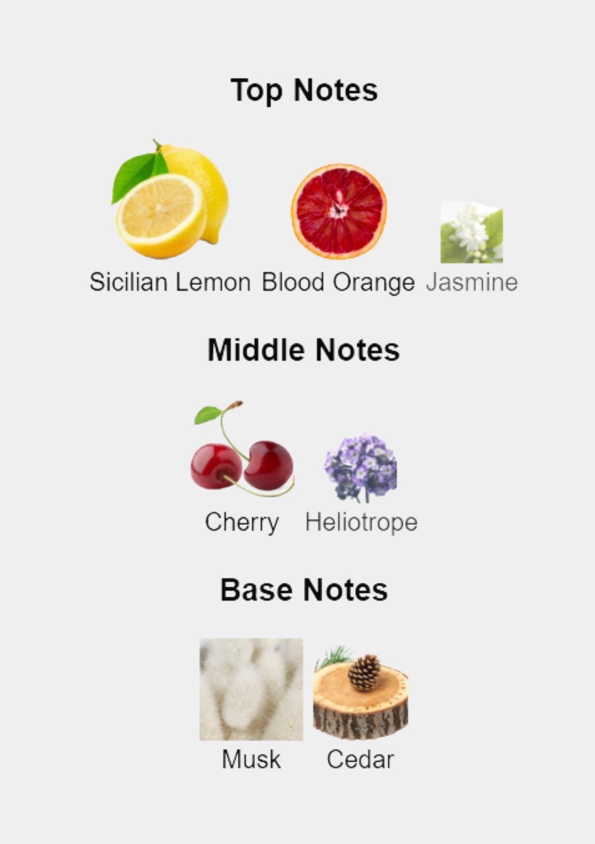 Dolce & Gabbana Dolce Q for Women EDP 100mL