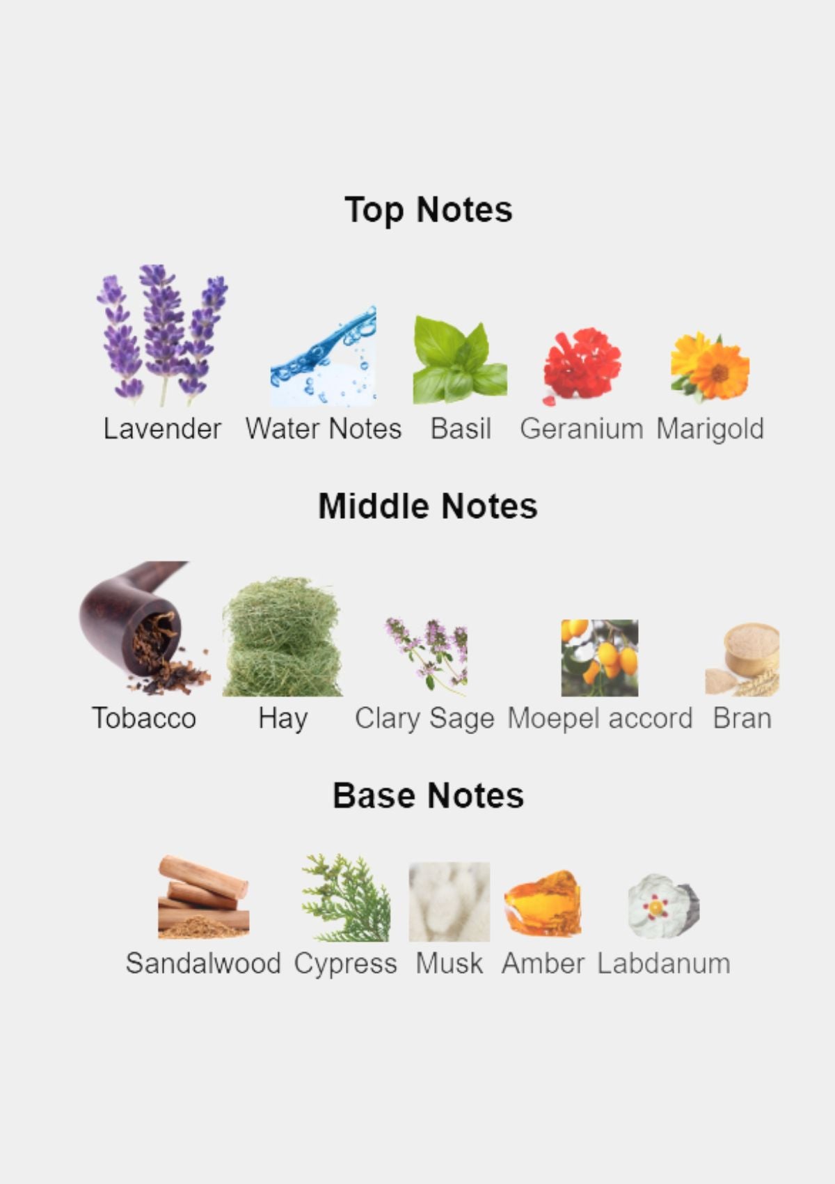 Dolce & Gabbana Intenso Pour Homme EDP 125mL