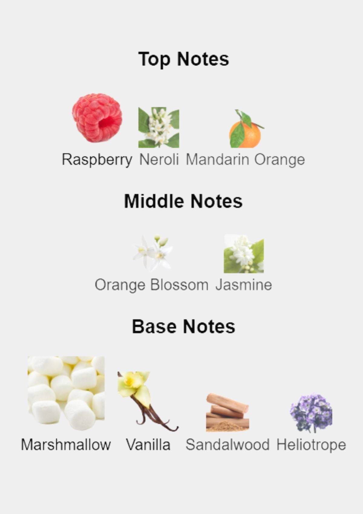 Dolce & Gabbana Pour Femme for Women EDT 100mL