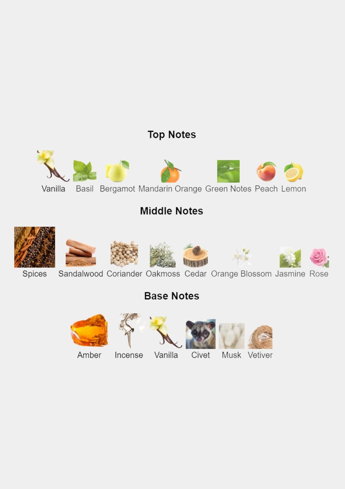 Calvin Klein Obsession for Women EDP 100mL