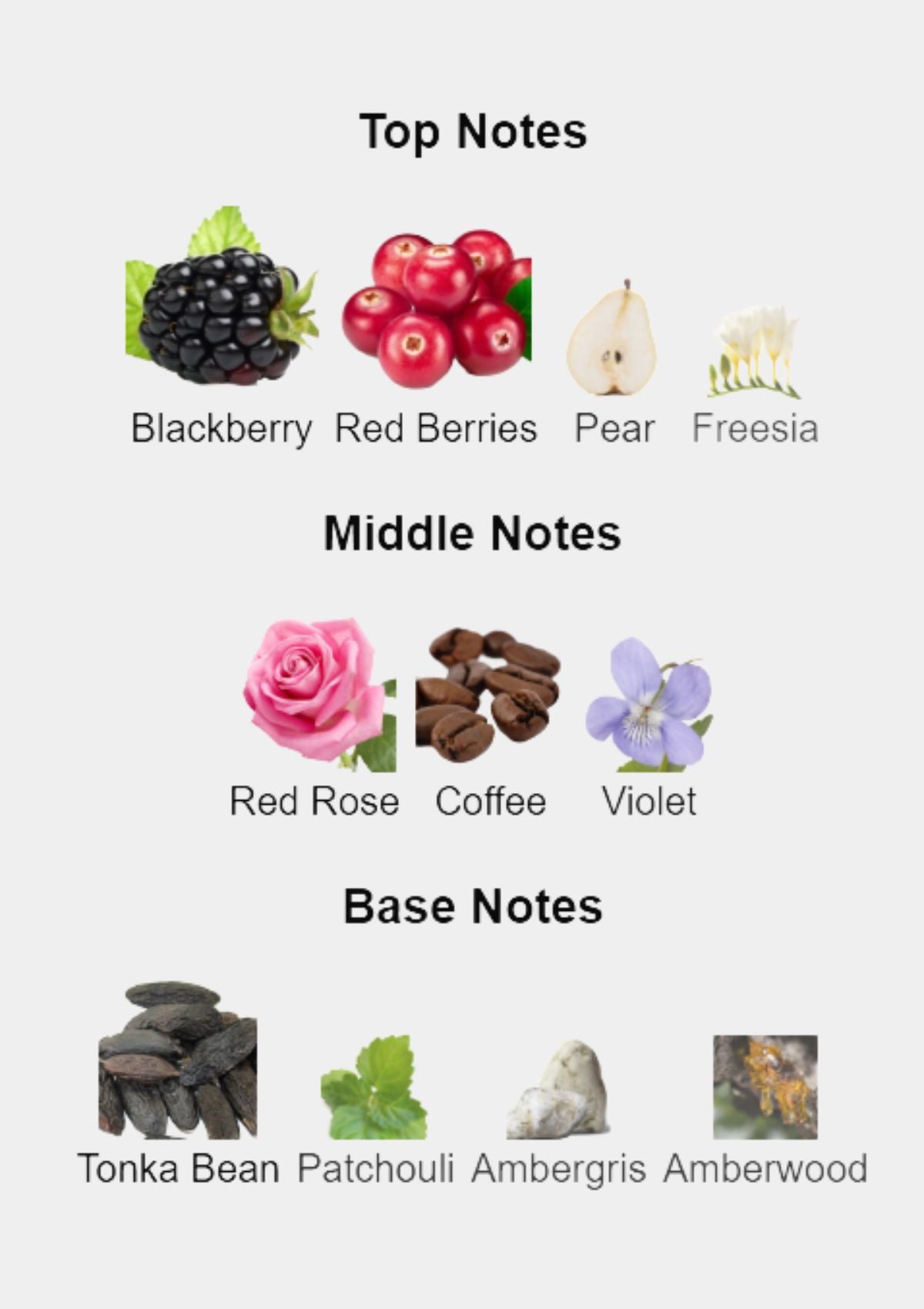 Dolce & Gabbana The Only One 2 for Women EDP 100mL