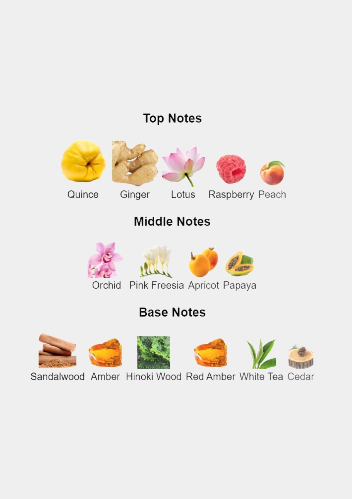 Elizabeth Arden Provocative for Women EDP 100mL