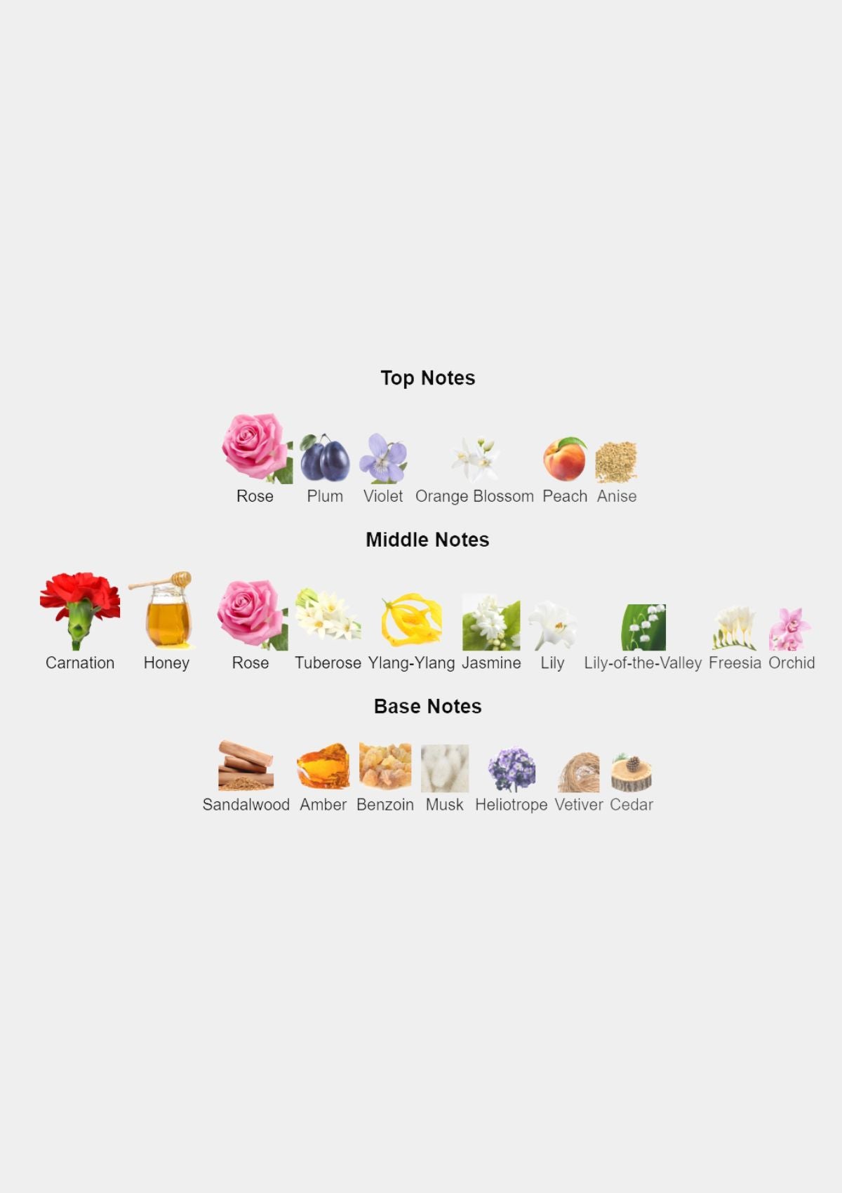 Elizabeth Arden Red Door for Women EDT 100mL