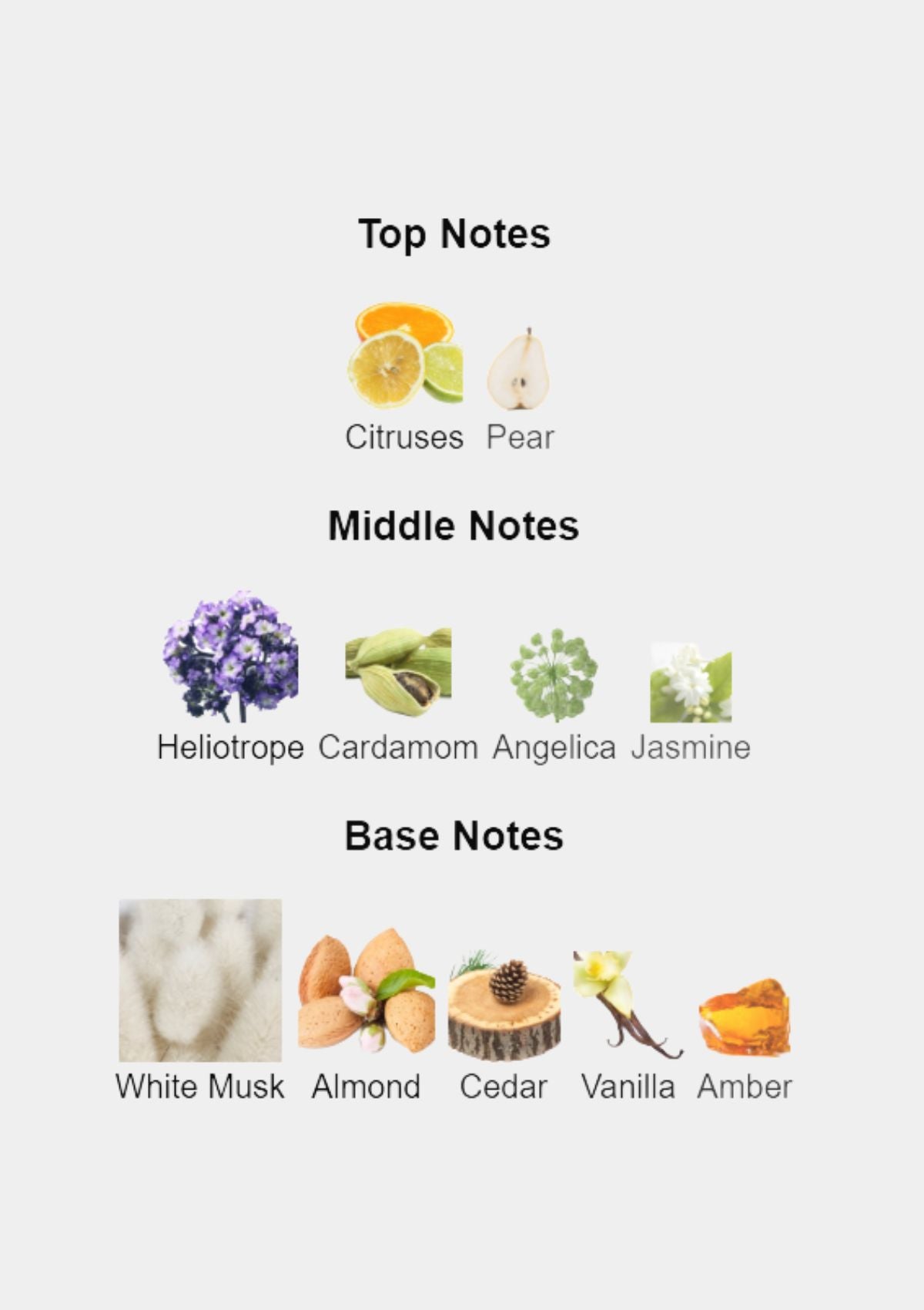 Emporio Armani She for Women EDP 100mL