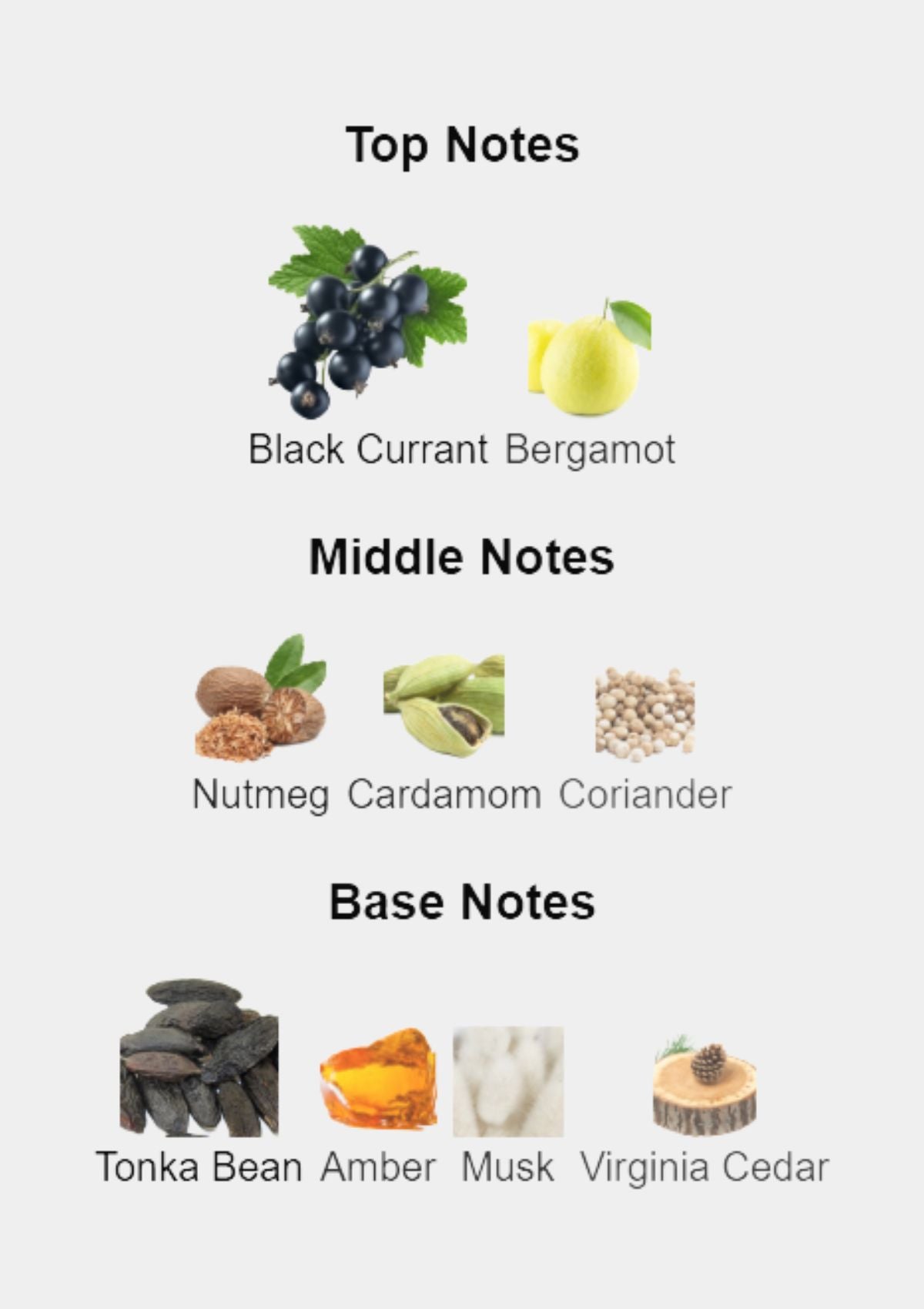 Antonio Banderas Black Seduction for Men 100mL