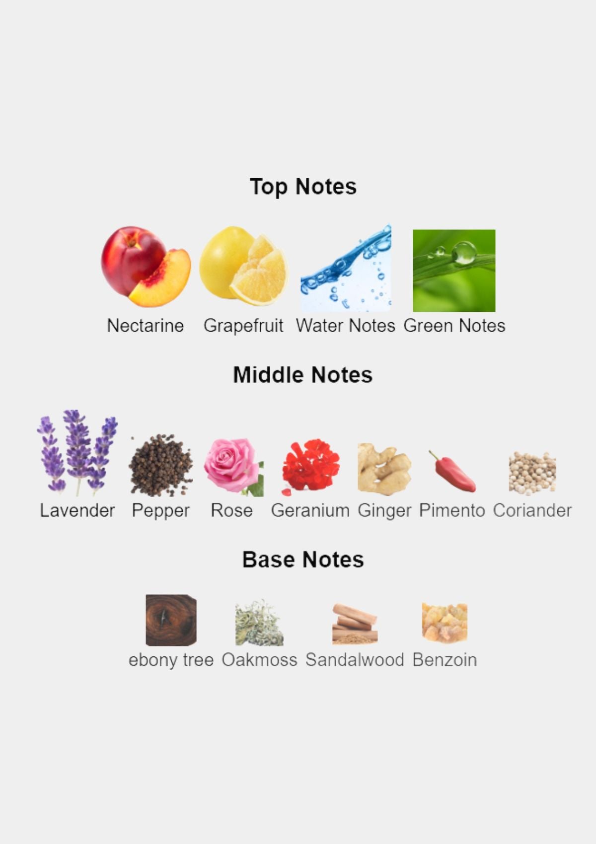 Estee Lauder Pleasures for Men EDC 100mL