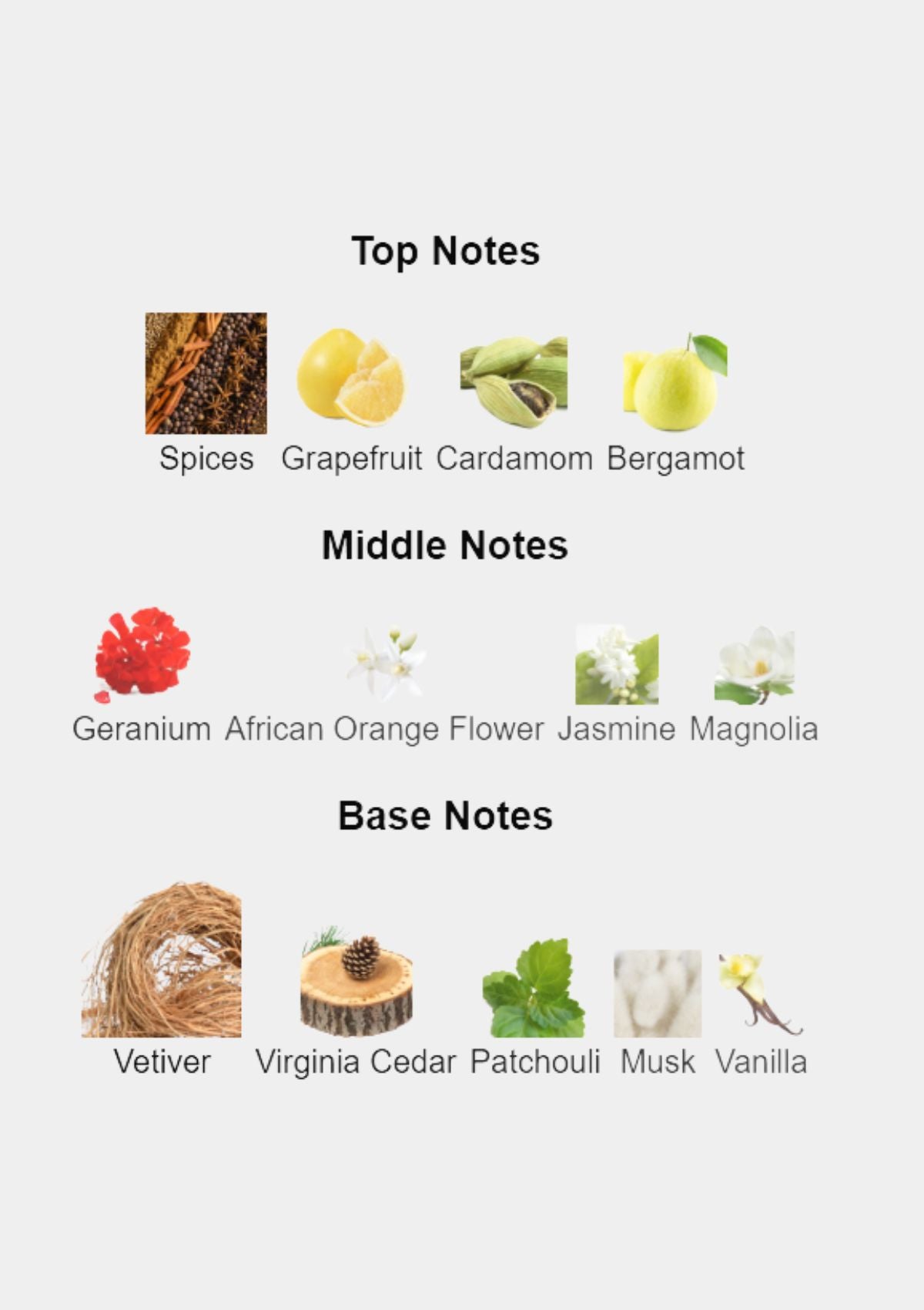 Franck Olivier Black Touch for Men EDT 100mL