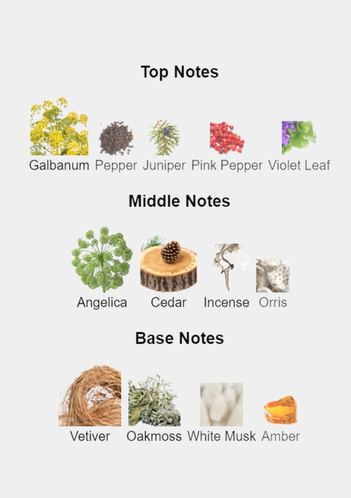 Frederic Malle French Lover for Men EDP 100mL