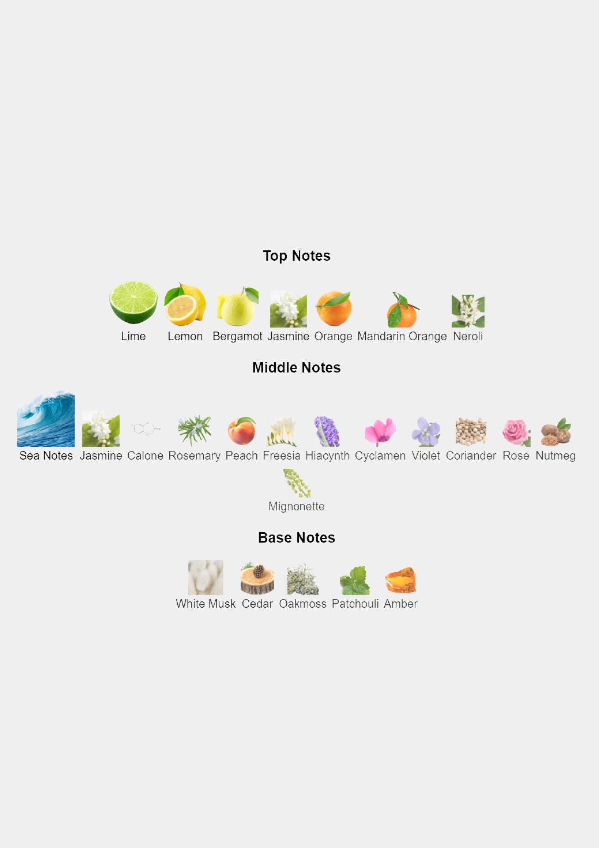 Giorgio Armani Acqua Di Gio for Men EDP 125mL