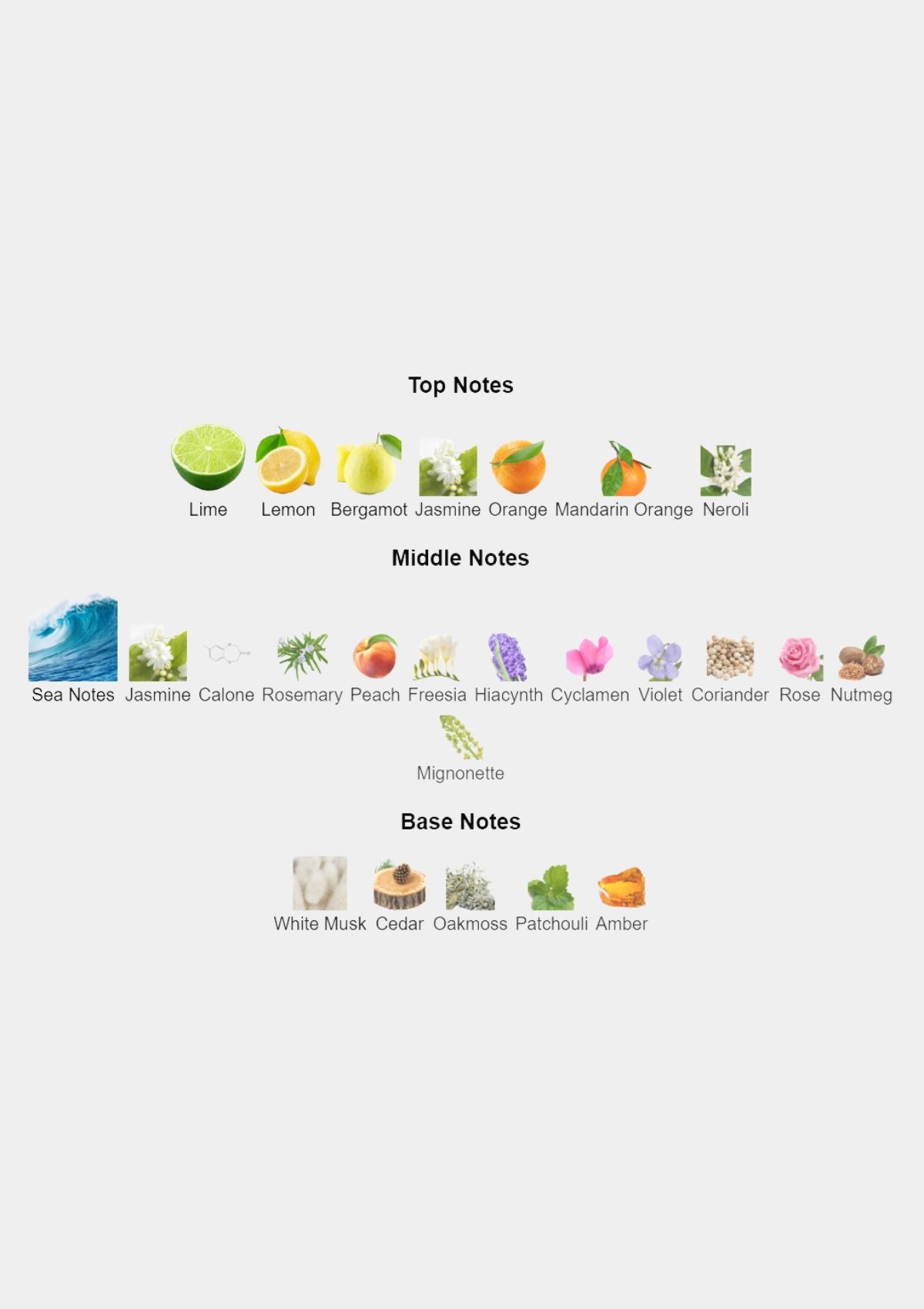 Giorgio Armani Acqua Di Gio for Men EDT 100mL