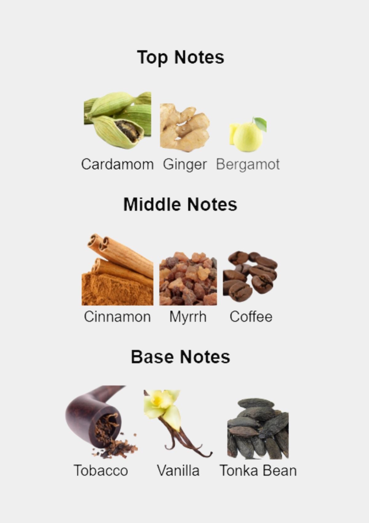 Giorgio Armani Prive Magenta Tanzanite for Unisex EDP 100mL